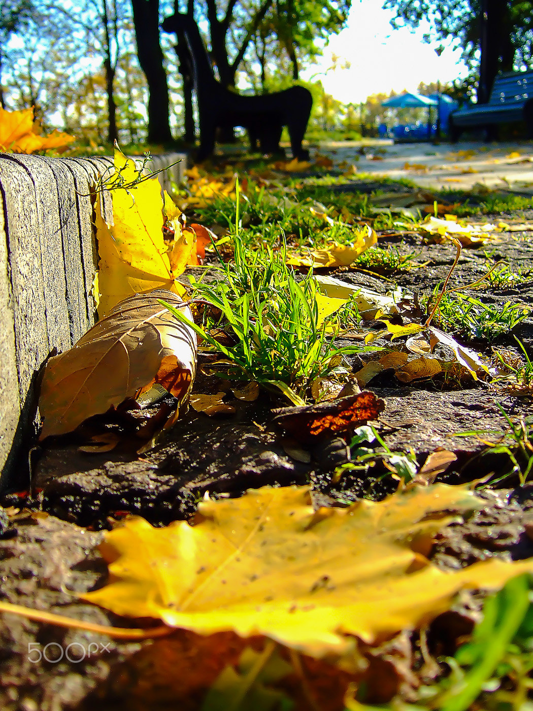 Fujifilm FinePix F20 sample photo. Осень photography