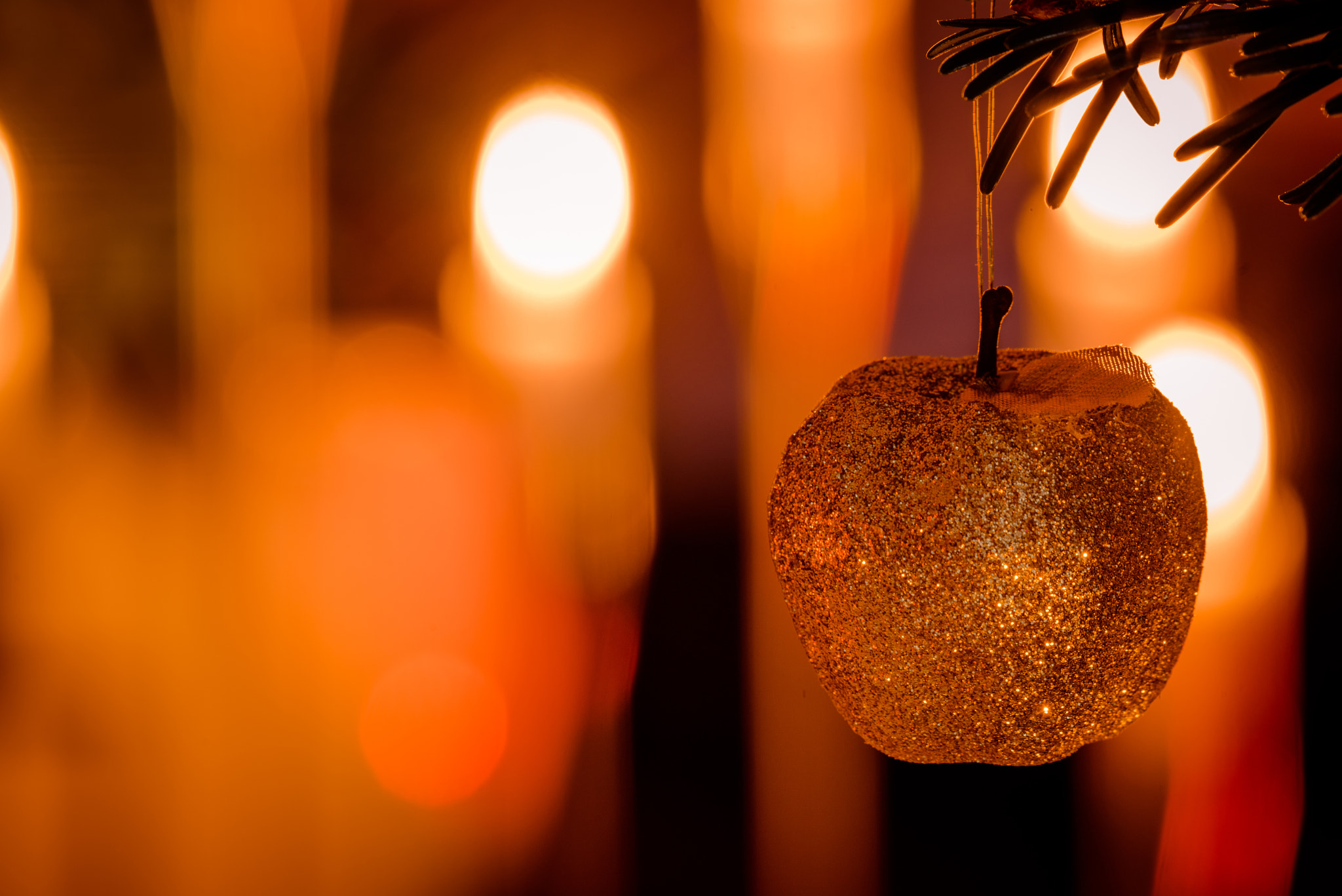 Sony a7R + Sony 70-400mm F4-5.6 G SSM II sample photo. Glittering xmas apple on a tree photography