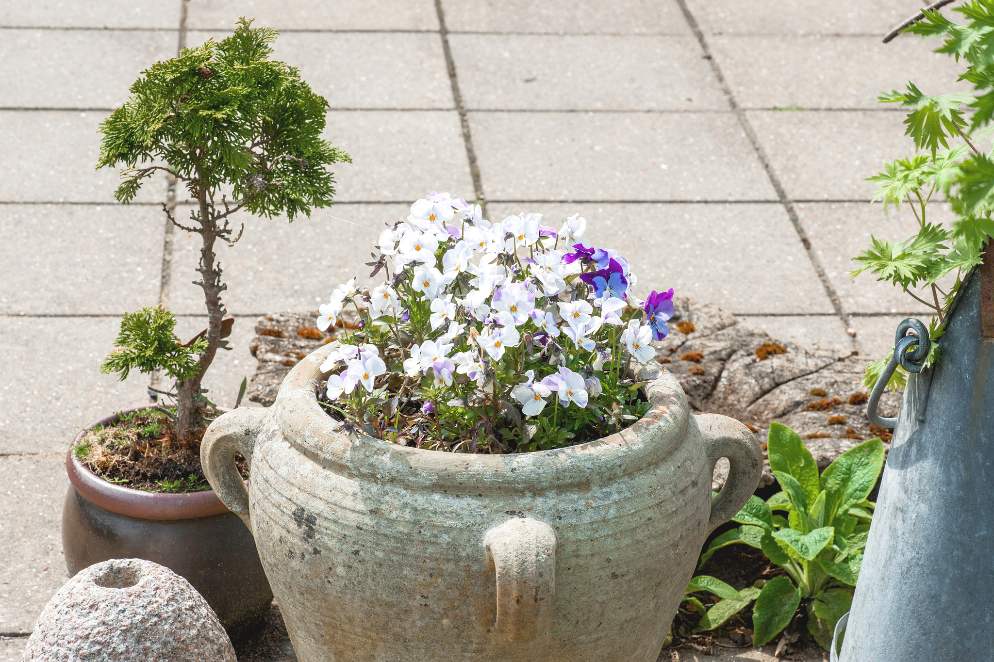 Sony Alpha DSLR-A900 + Minolta AF 100mm F2.8 Macro [New] sample photo. Garden ornament with flower pots photography