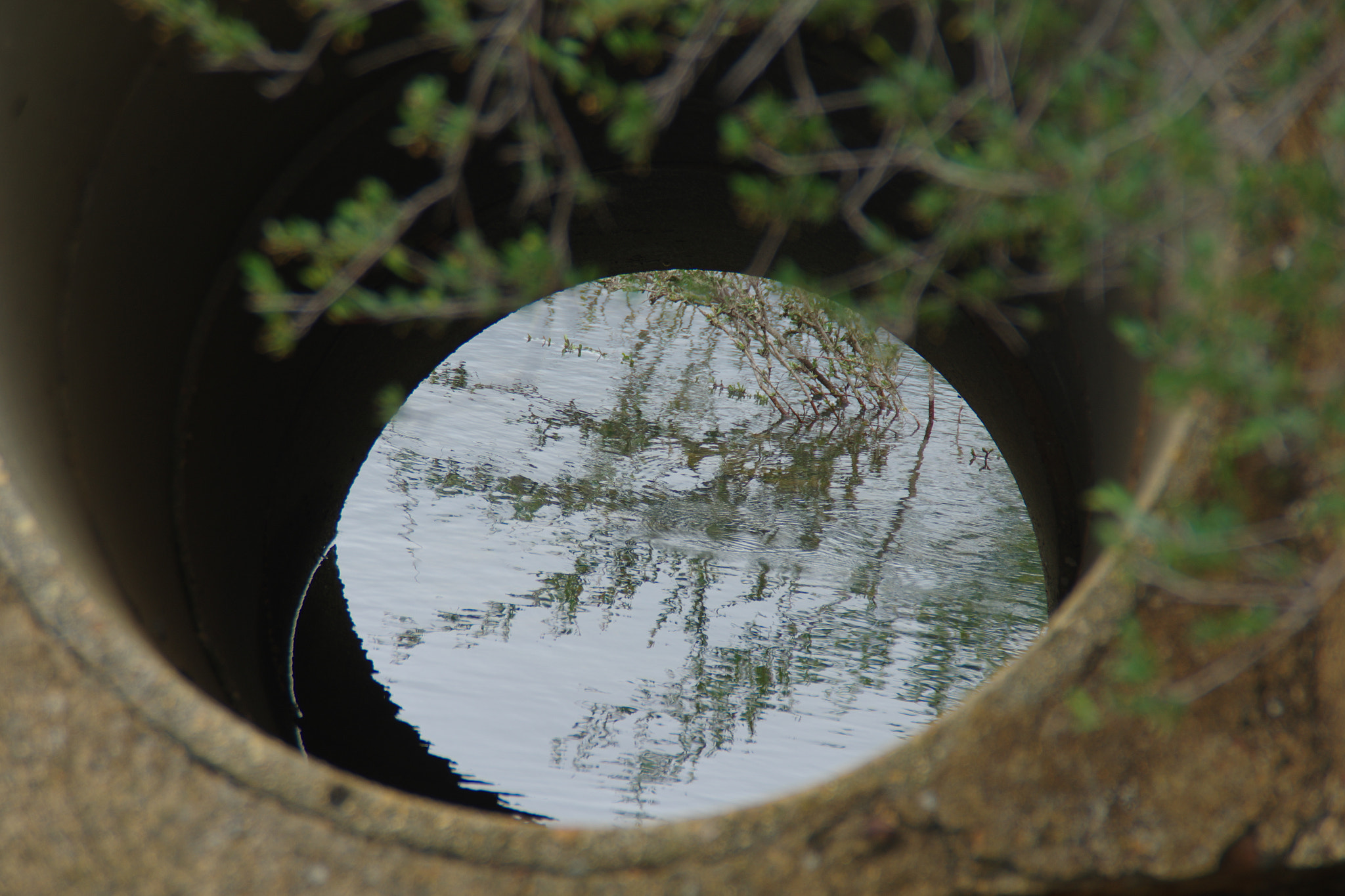 Tamron AF 18-200mm F3.5-6.3 XR Di II LD Aspherical (IF) Macro sample photo. Through the hole photography