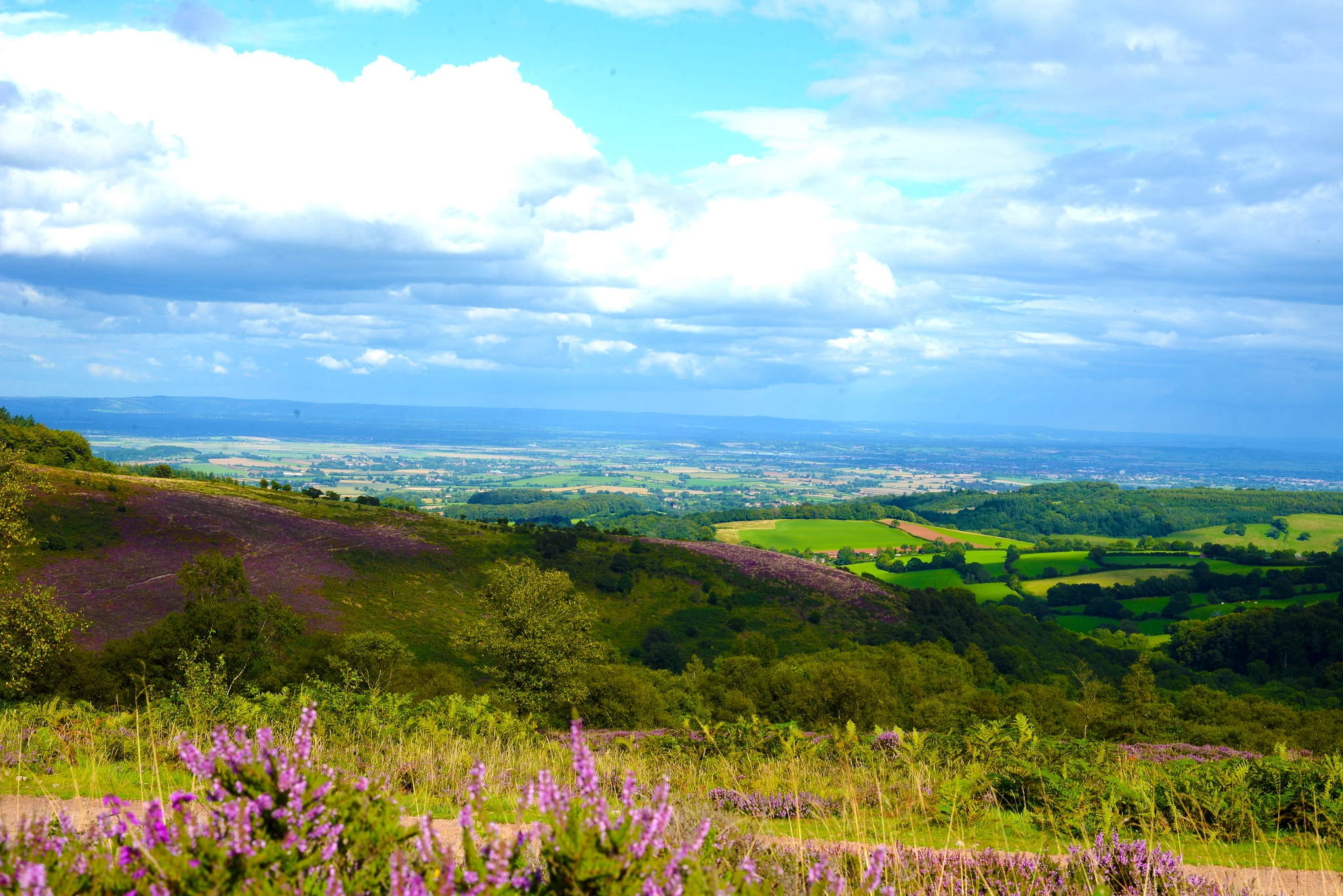 Nikon D600 + AF Nikkor 50mm f/1.8 sample photo. On the edge of the quantocks photography