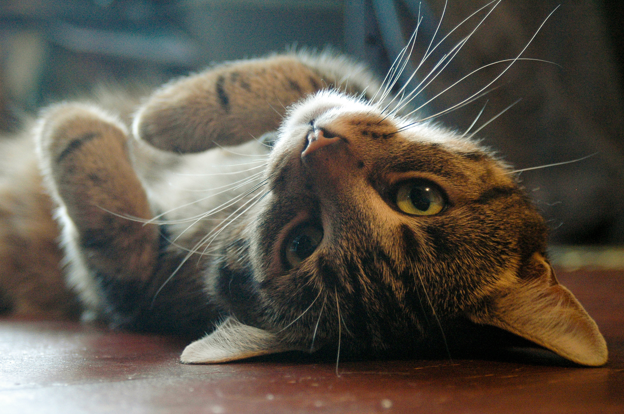 AF Zoom-Nikkor 28-80mm f/3.3-5.6G sample photo. Troogie slutting around photography