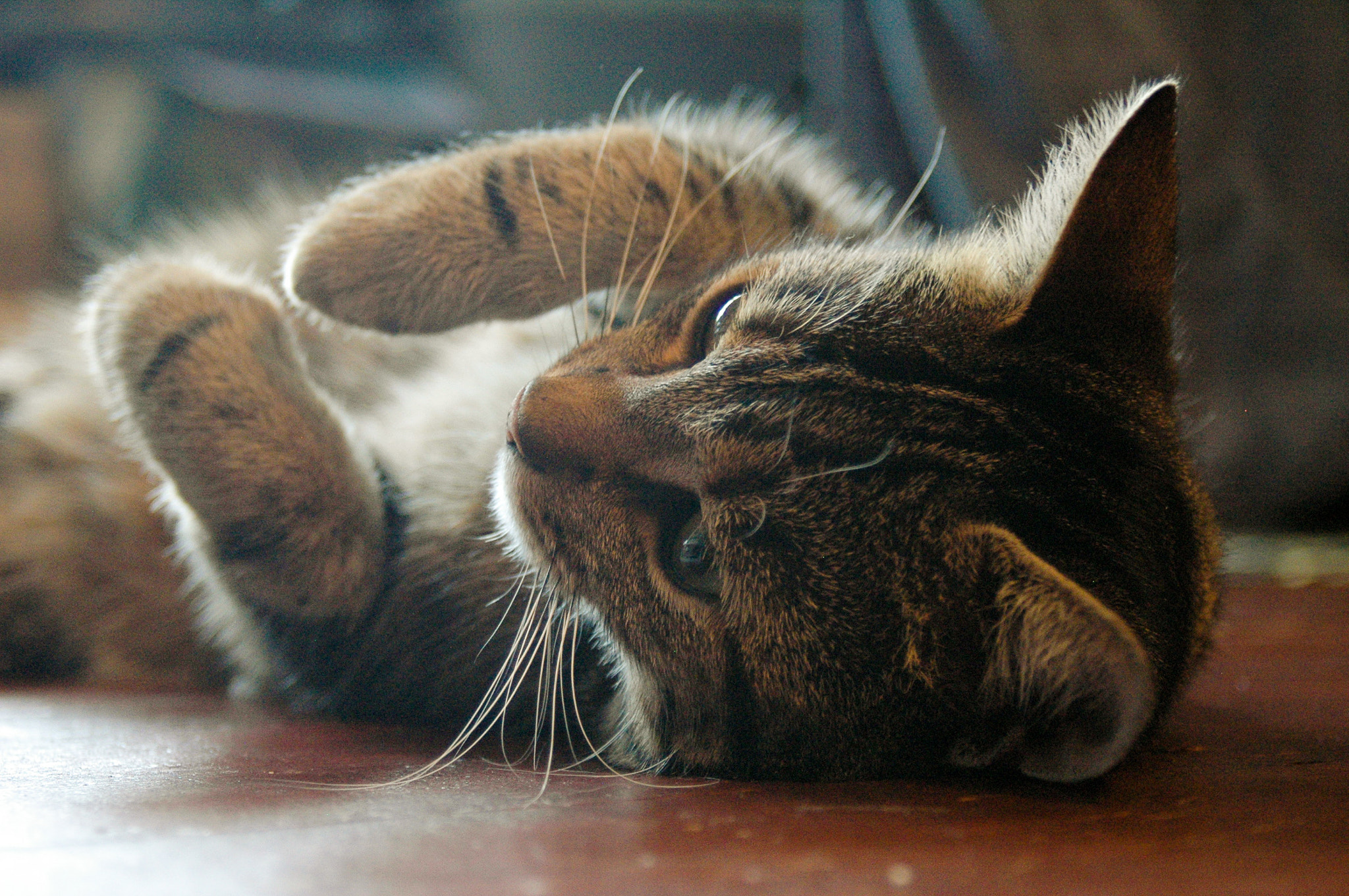 AF Zoom-Nikkor 28-80mm f/3.3-5.6G sample photo. Troogie slutting around photography