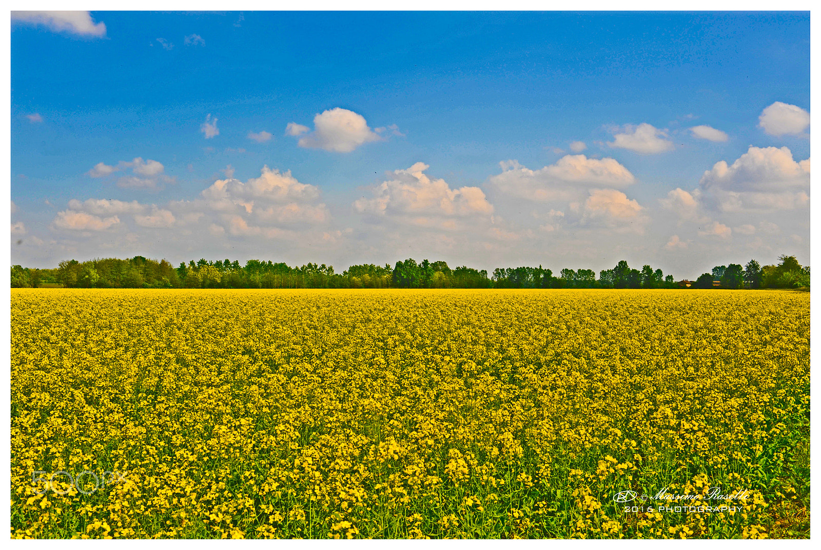 Nikon D700 + AF Zoom-Nikkor 35-70mm f/2.8D sample photo. Yellow sea.jpg photography