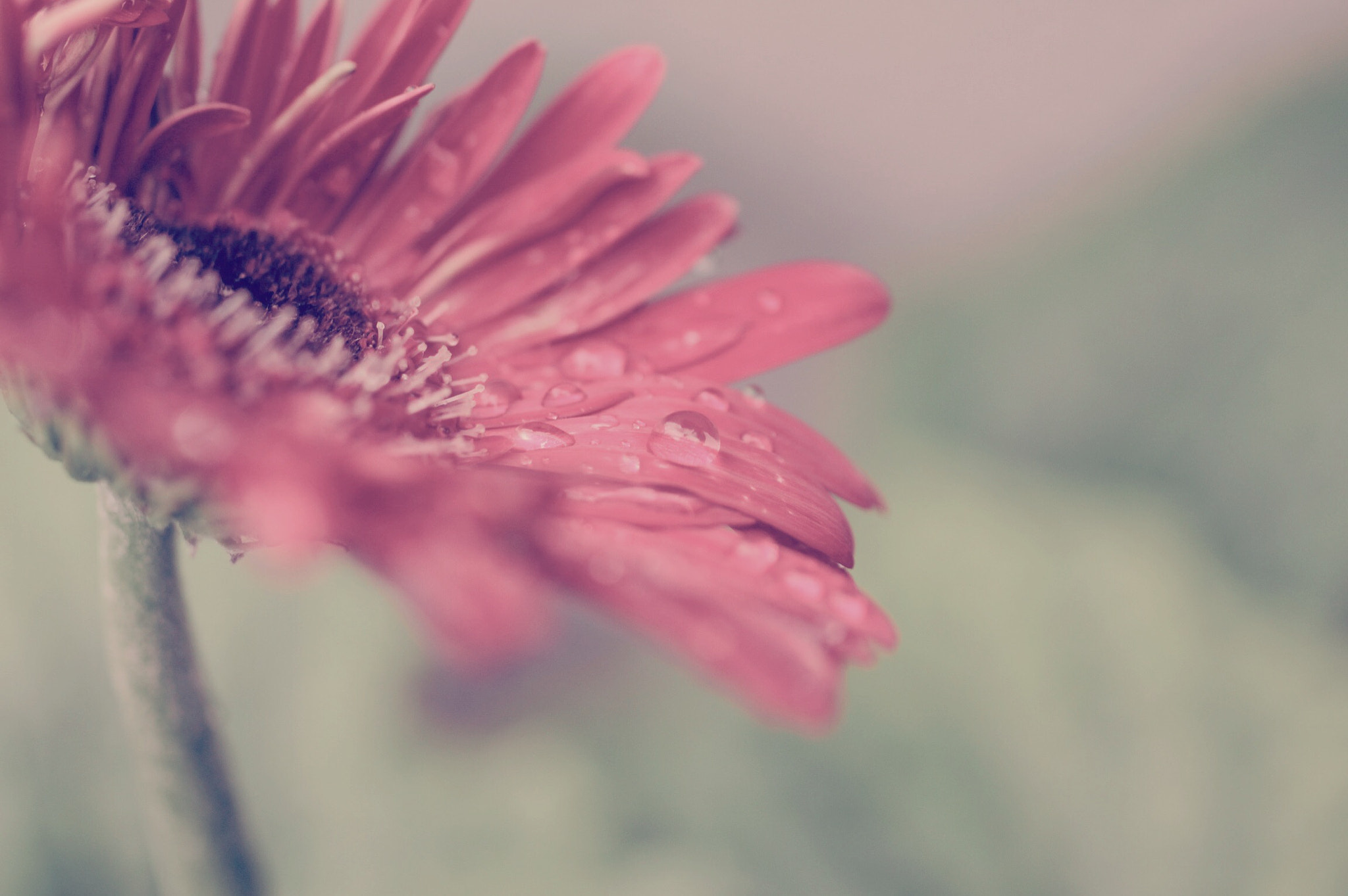 Canon EOS 700D (EOS Rebel T5i / EOS Kiss X7i) sample photo. Water drop photography