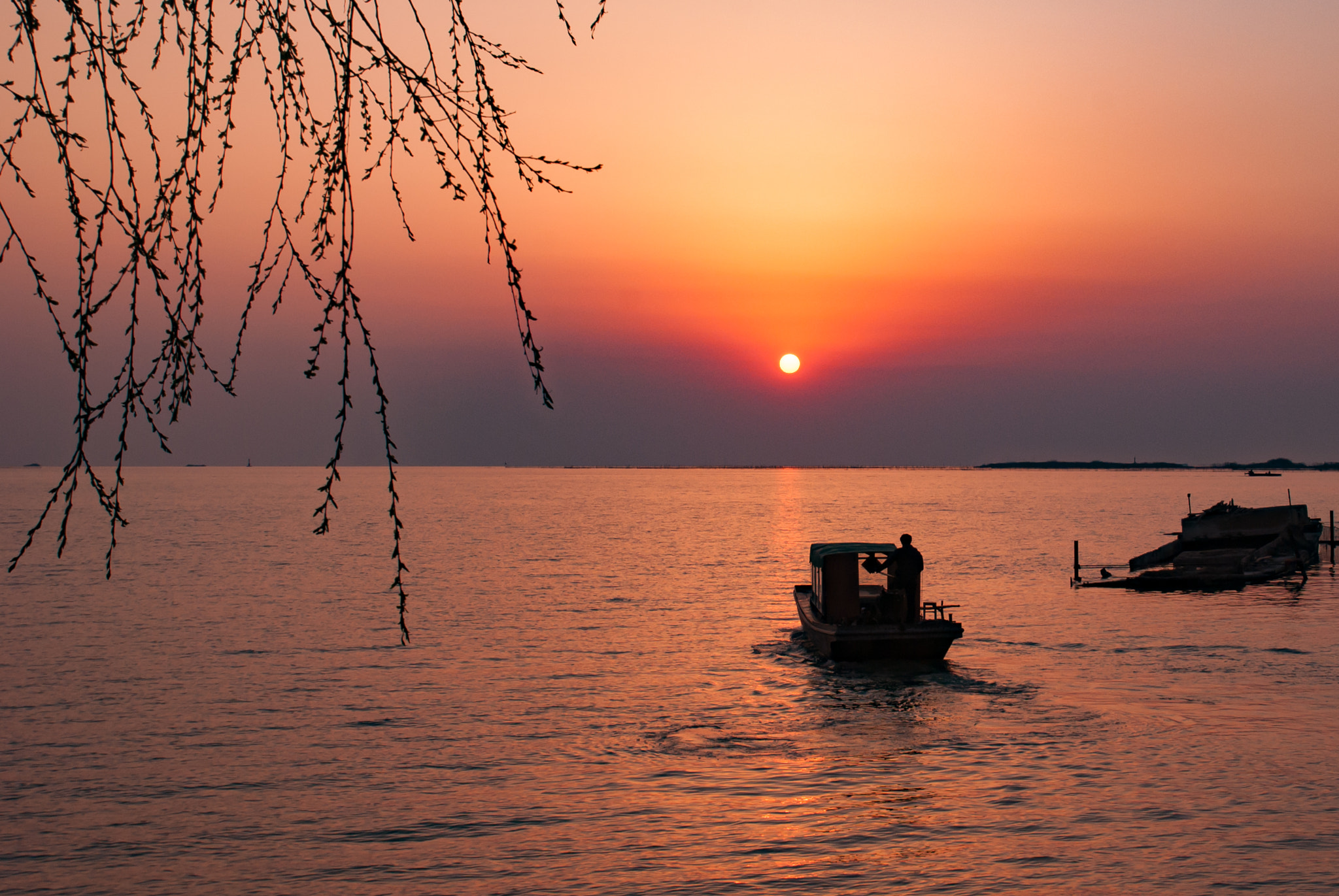 Nikon D80 sample photo. Gohome photography