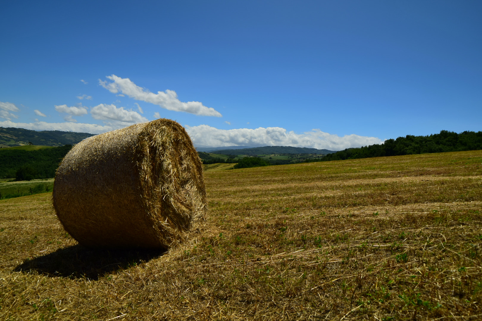 Samyang 14mm F2.8 ED AS IF UMC sample photo. Hay baloon photography