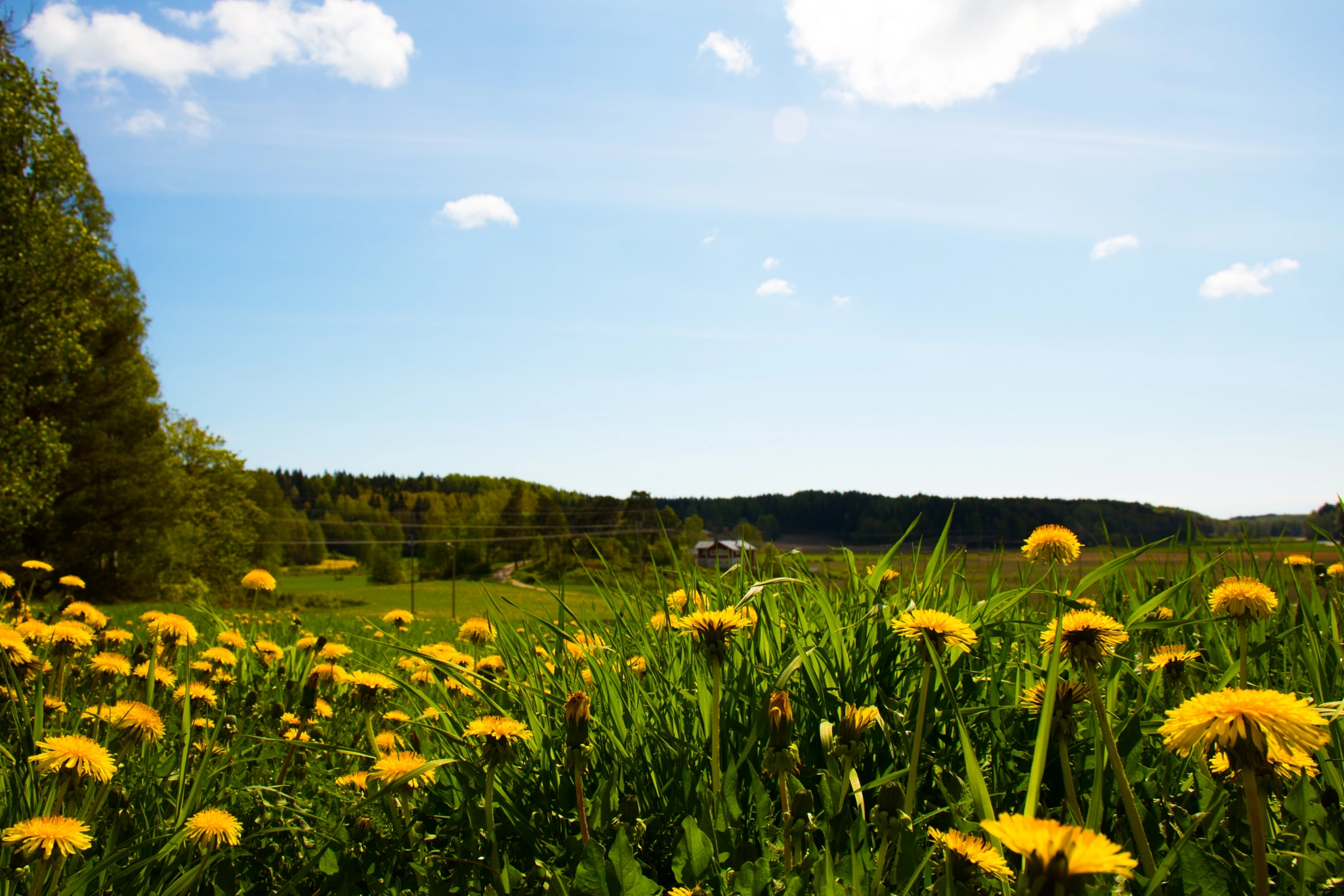 Canon EOS 750D (EOS Rebel T6i / EOS Kiss X8i) sample photo. Finnish countryside just 15km from helsinki. photography