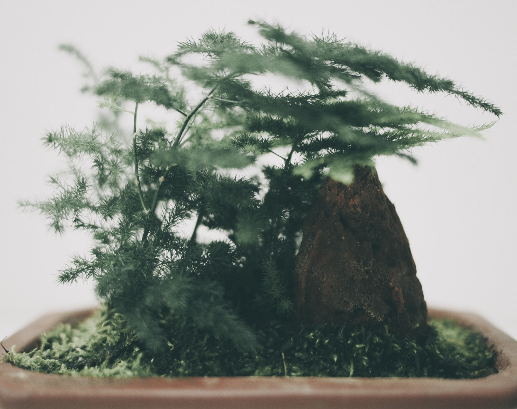 Olympus PEN E-P5 + Panasonic Lumix G 20mm F1.7 ASPH sample photo