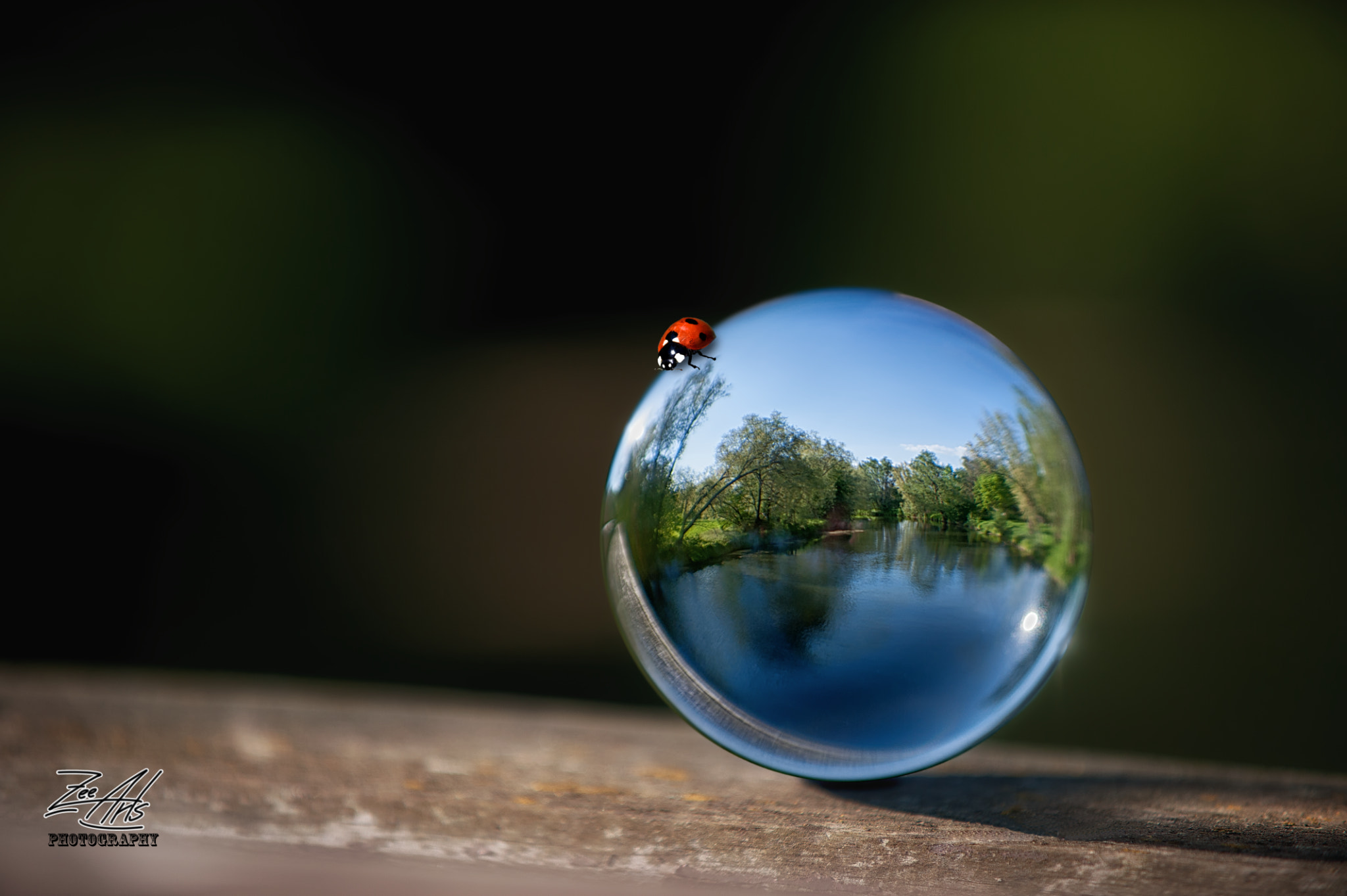 AF-S Zoom-Nikkor 80-200mm f/2.8D IF-ED sample photo. Ladybug watching into glass sphere photography