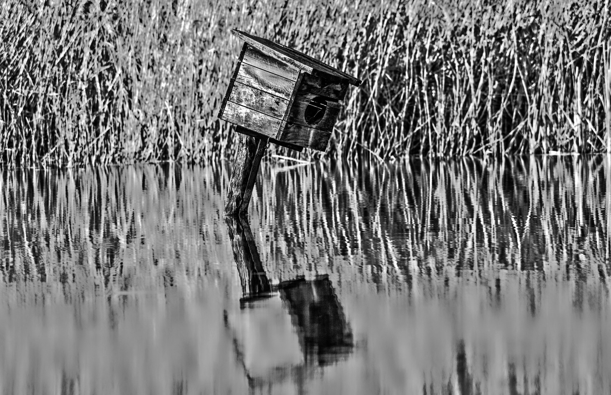 Pentax smc DA 55-300mm F4.0-5.8 ED sample photo. Nad jeziorem photography