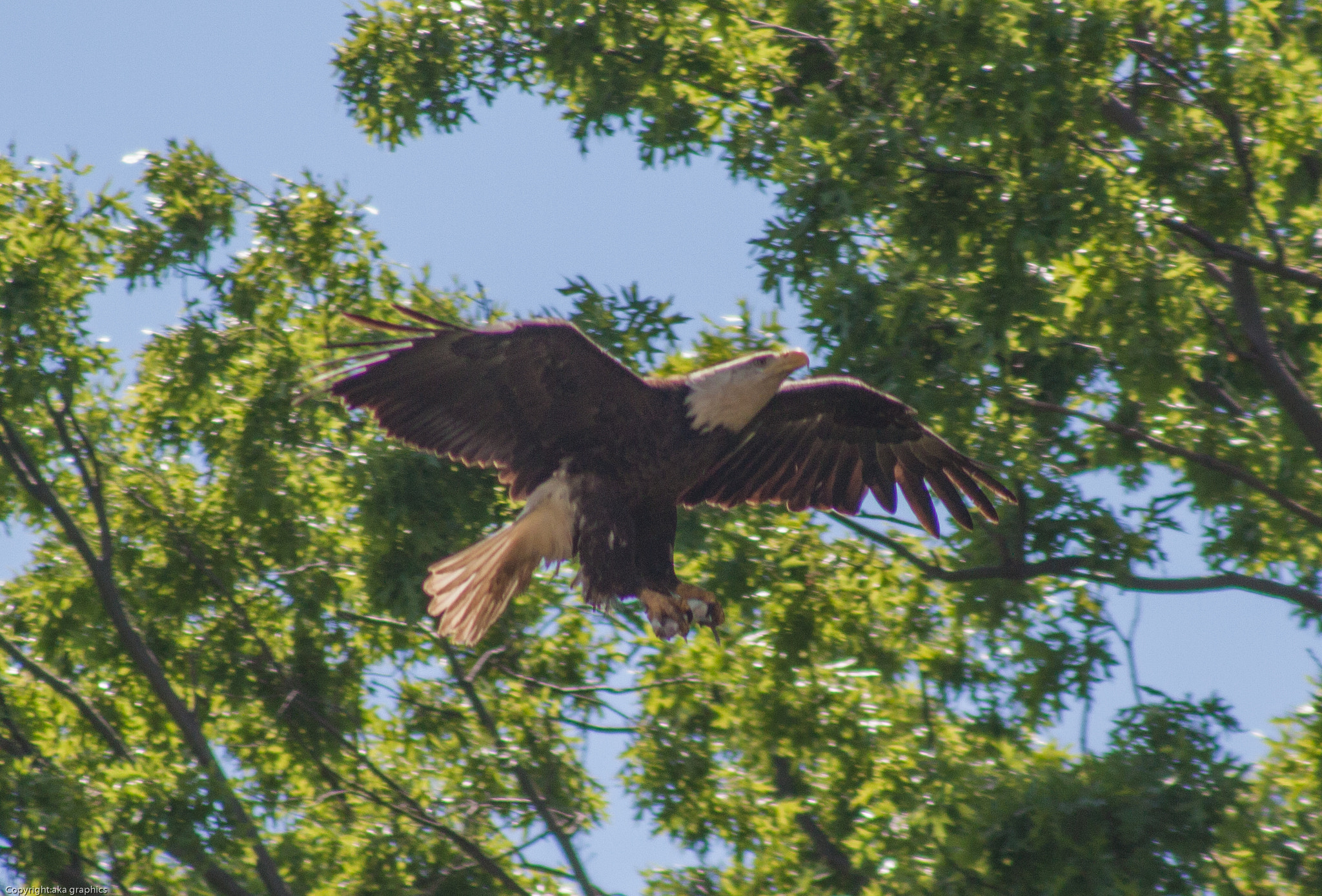 Canon EF 100-300mm F4.5-5.6 USM sample photo. The return trip photography