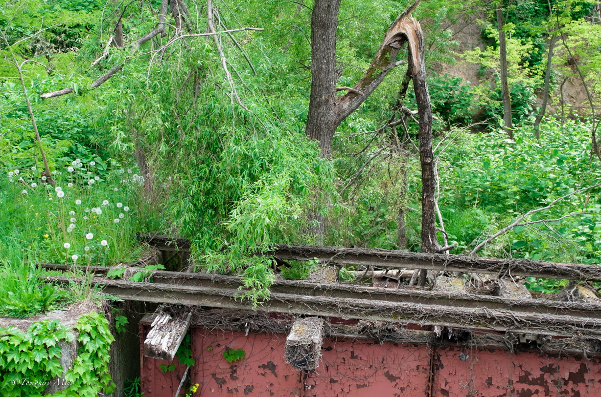 Ricoh Lens A16 24-85mm F3.5-5.5 sample photo. Old line photography