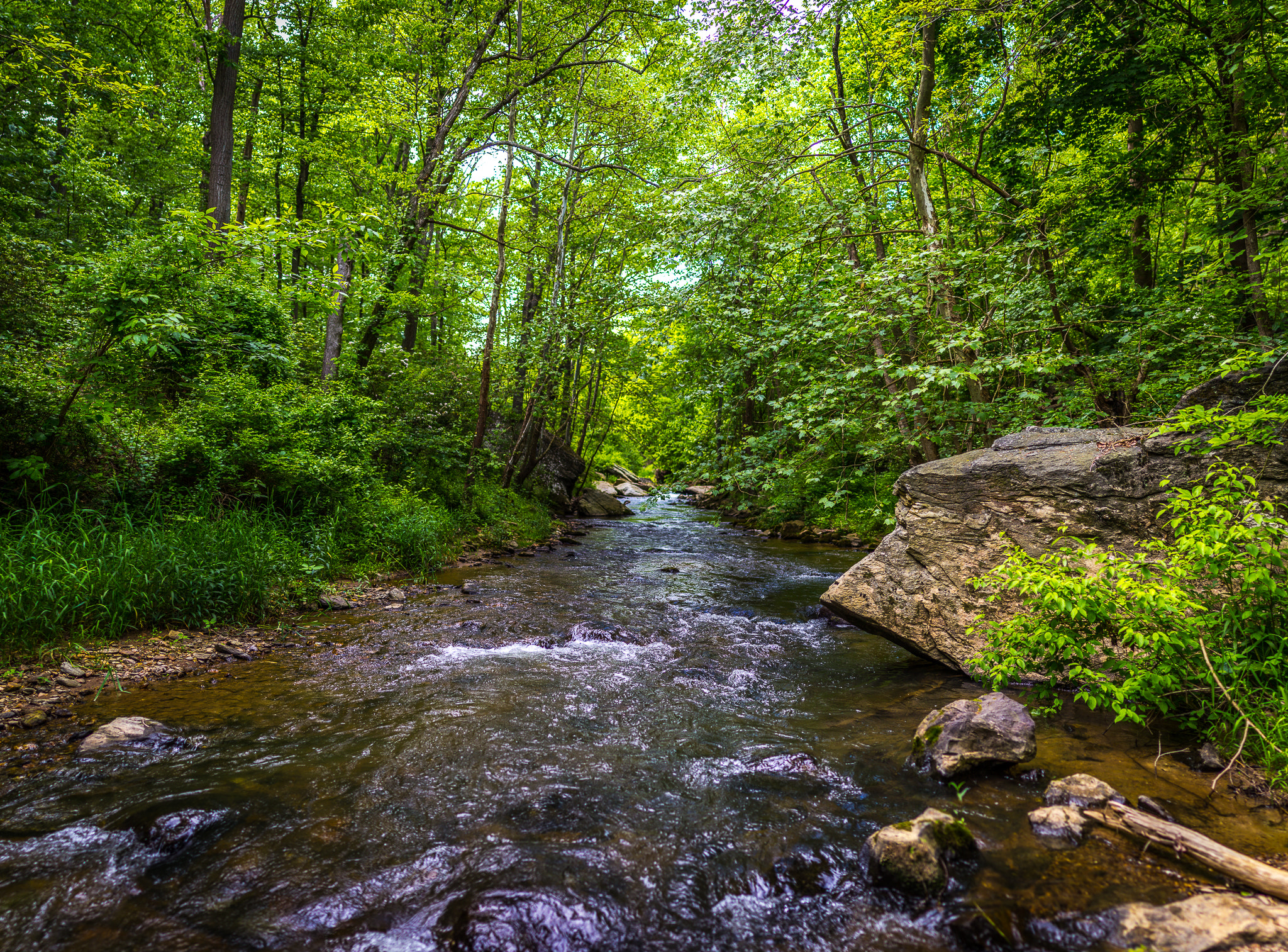 Sigma 35mm F1.4 DG HSM Art sample photo. Pano photography