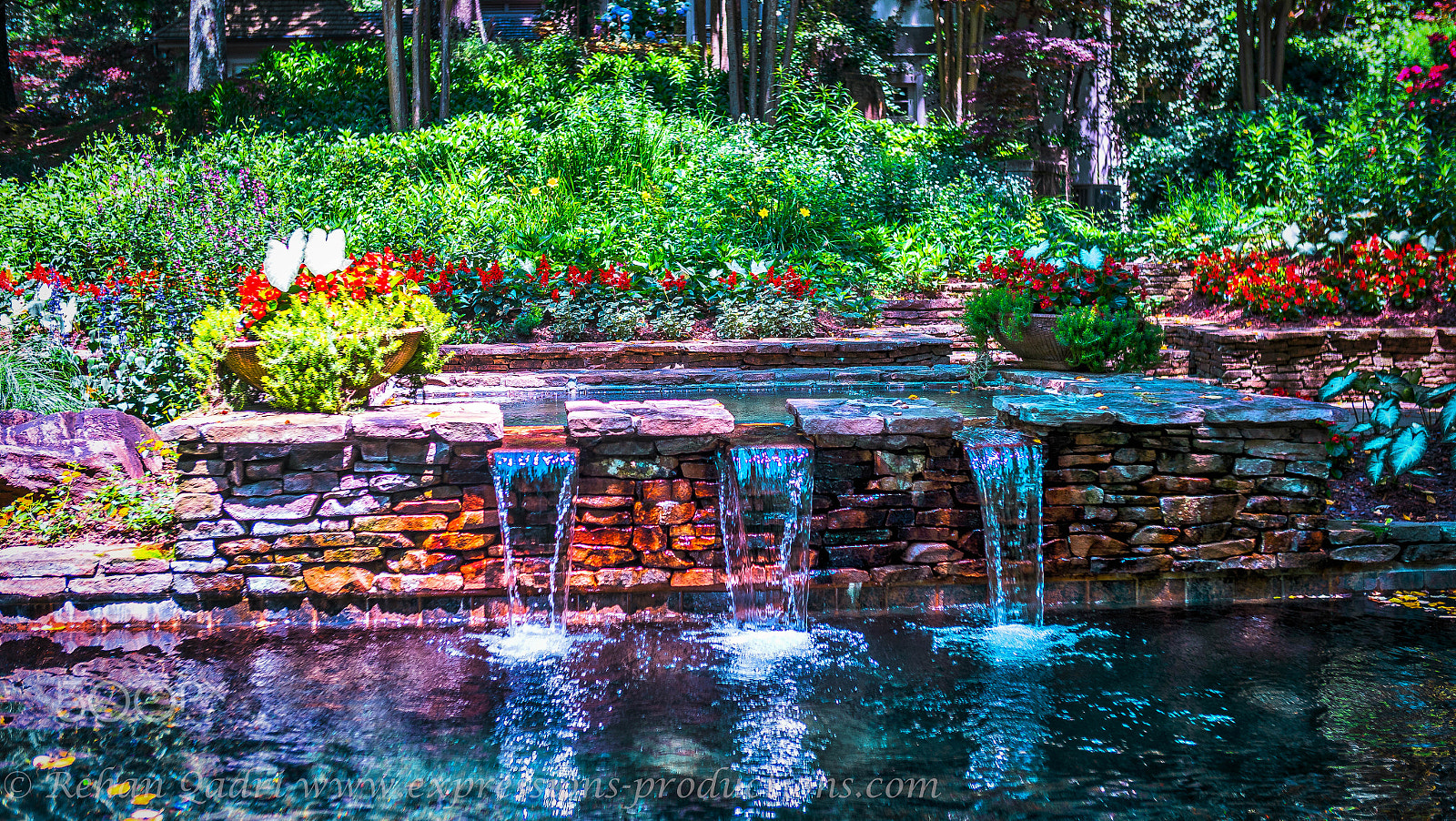 Sony a7R II + Canon EF 24-70mm F2.8L USM sample photo. Garden pond photography