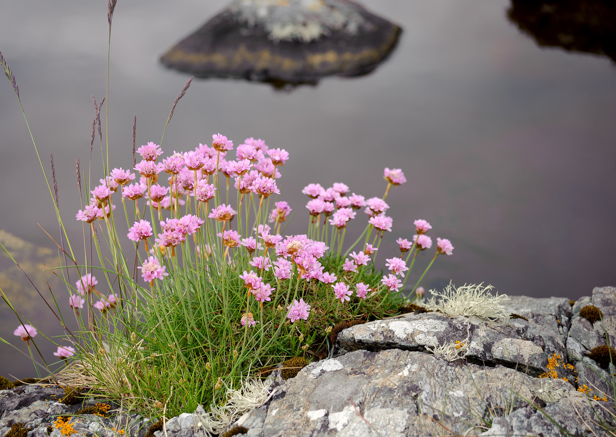 AF Zoom-Nikkor 28-80mm f/3.3-5.6G sample photo. . photography