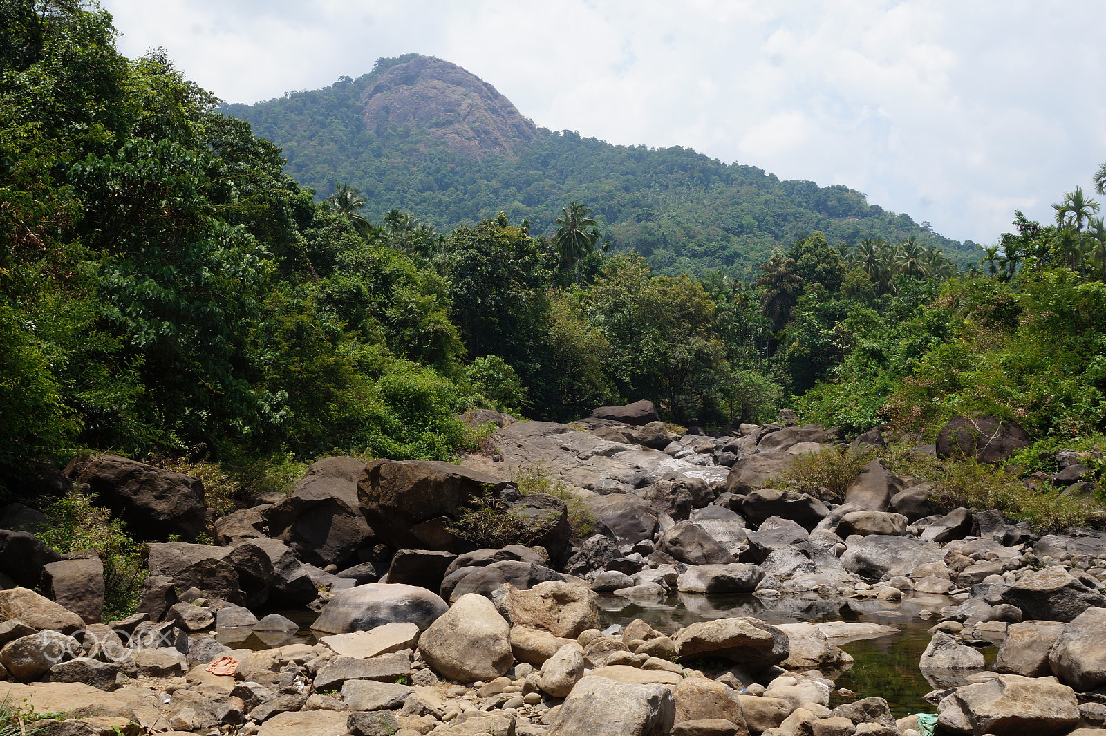 Sony E 18-50mm F4-5.6 sample photo. Off road photography