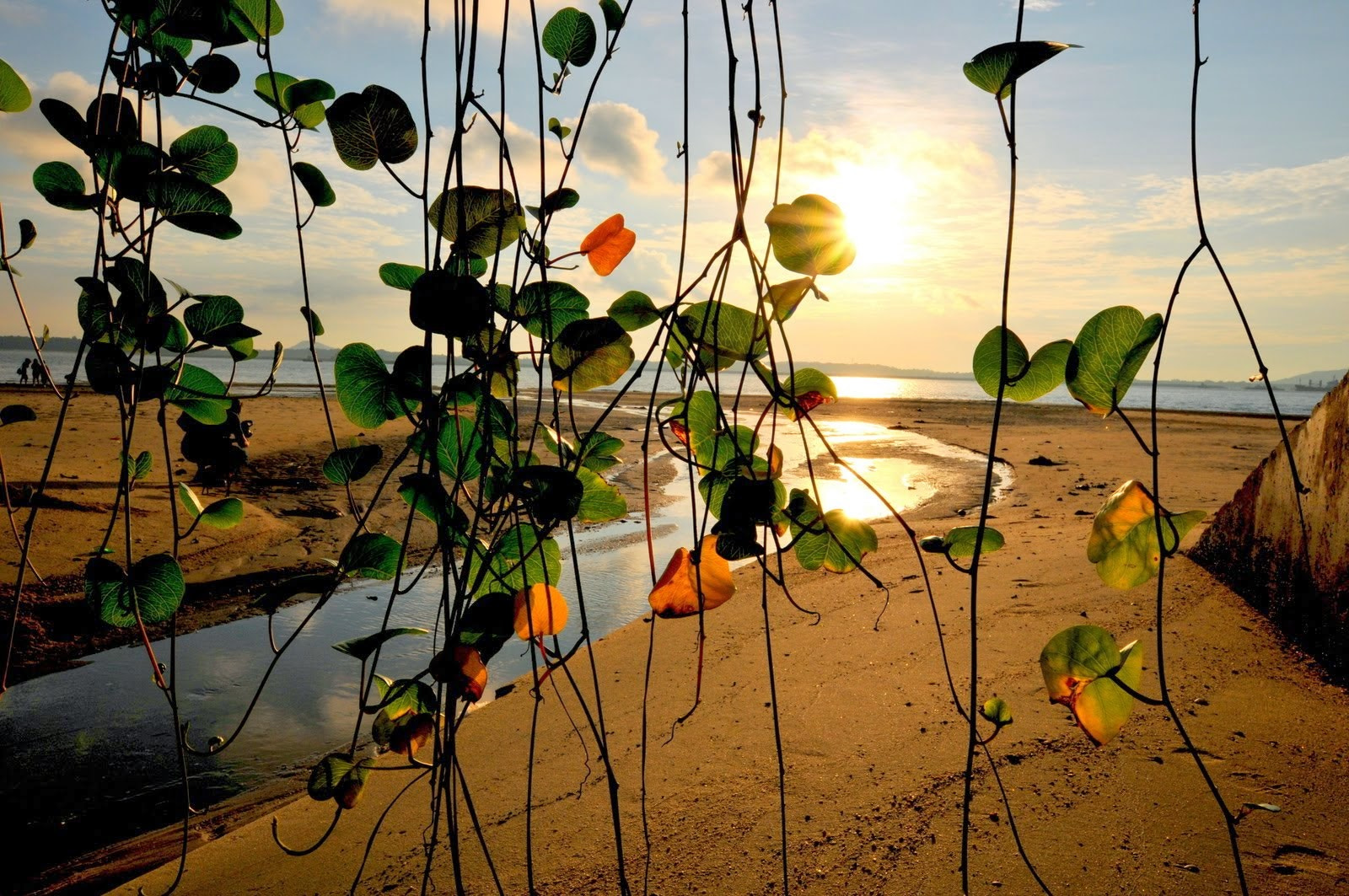 Nikon D300S + Sigma 10-20mm F3.5 EX DC HSM sample photo. Morning photography