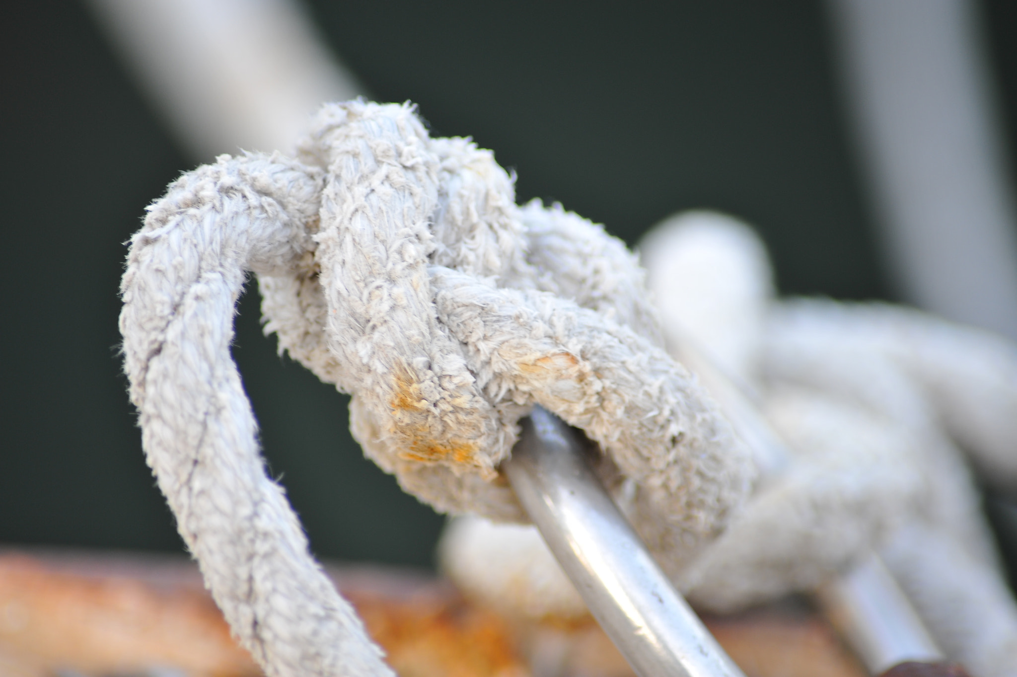 AF Zoom-Nikkor 70-300mm f/4-5.6D ED sample photo. Knot.jpg photography