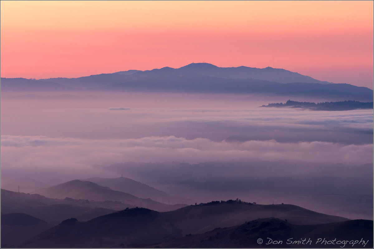 150-600mm F5-6.3 DG OS HSM | Sports 014 sample photo. Fog and santa cruz mountains photography