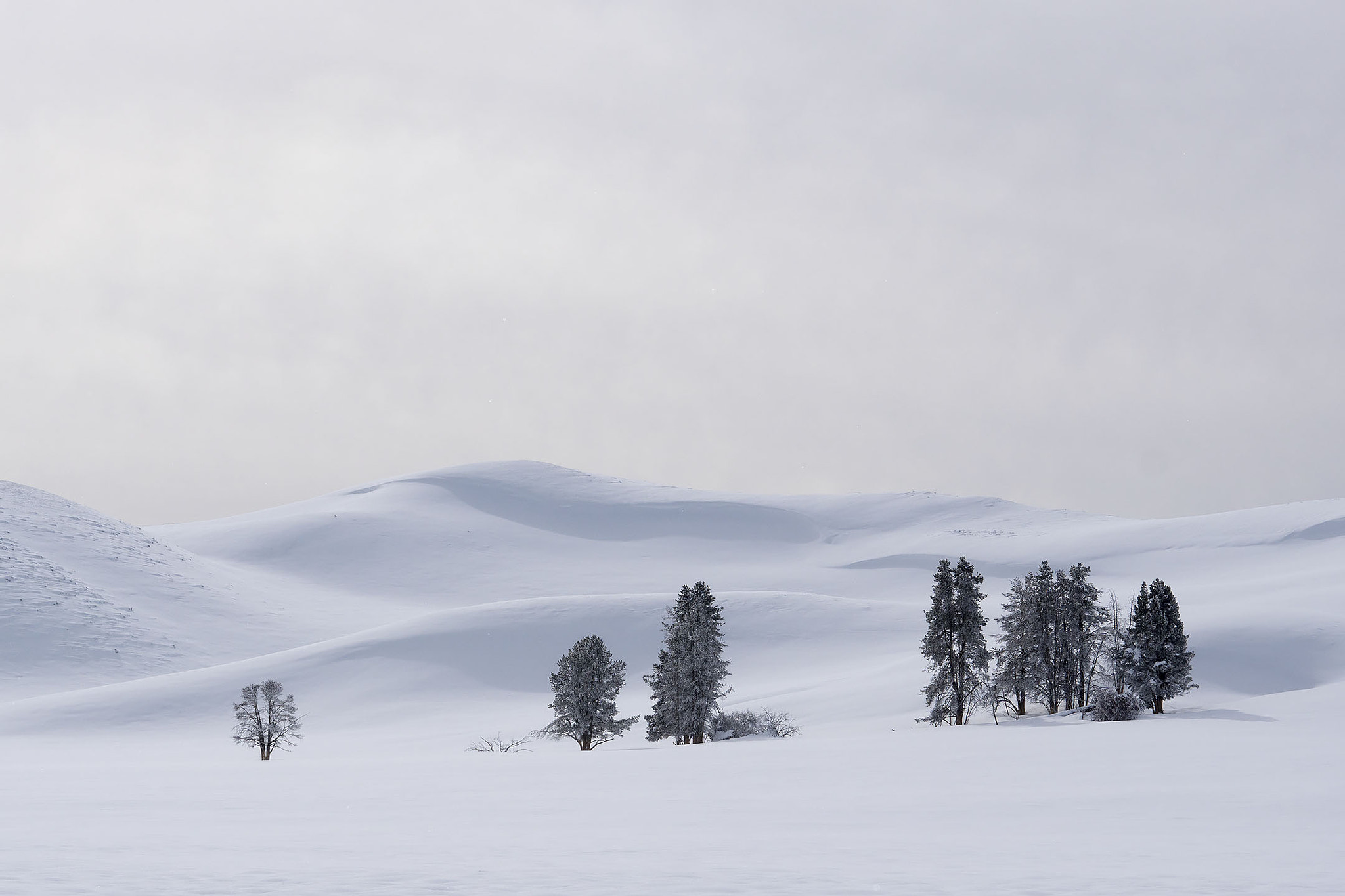 Sony ILCA-77M2 sample photo. Yellowstone in winter photography