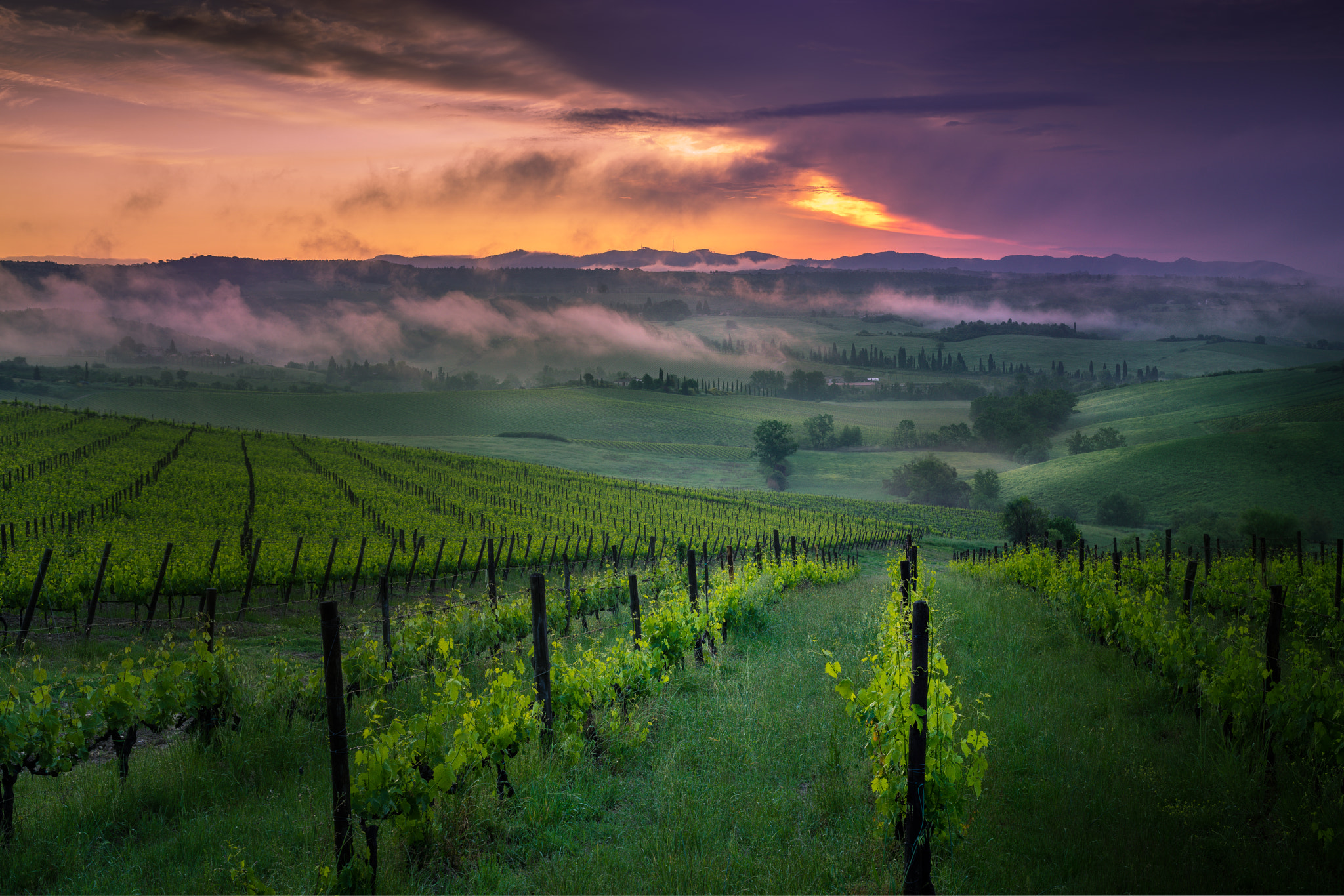 Sony a7R + Canon EF 50mm F1.8 II sample photo. First light in tuscany photography