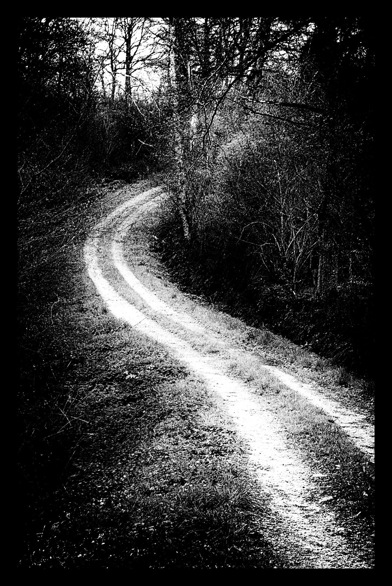 Nikon D200 + Sigma 50mm F2.8 EX DG Macro sample photo. Le chemin des poneys photography