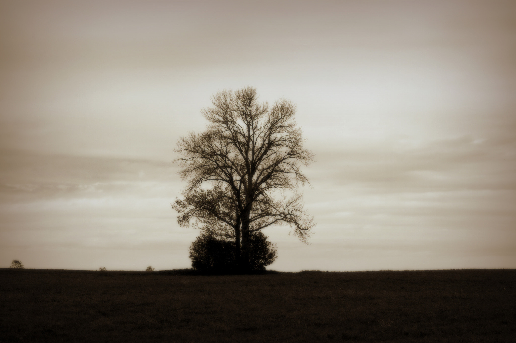 Canon EF 75-300mm f/4-5.6 USM sample photo. Standing alone photography