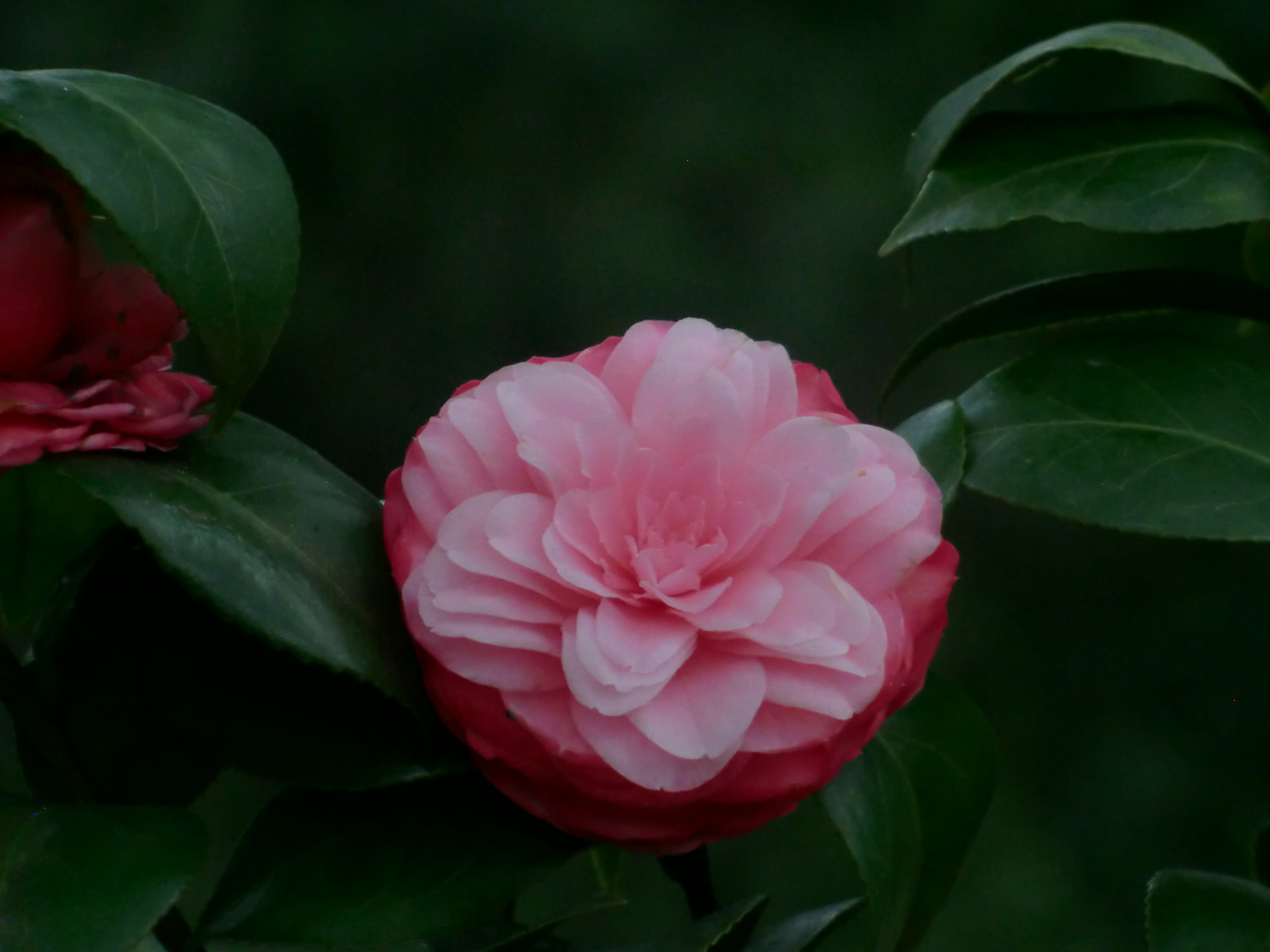 CASIO EX-H15 sample photo. 6.1 photography