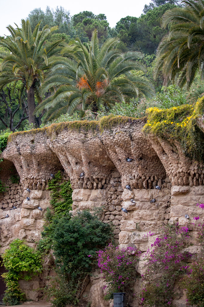 Park Guell by Ramin Nabipour on 500px.com