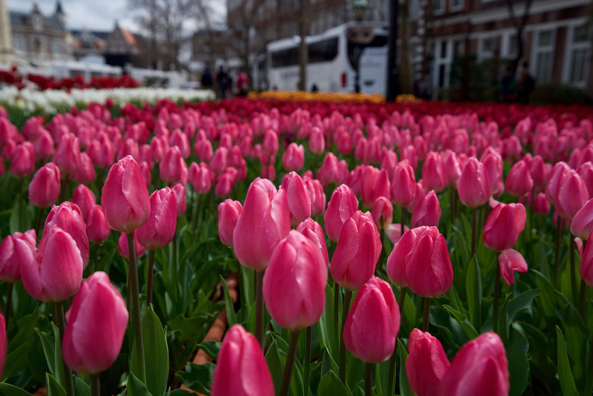 Sony a7S + Sony Vario-Tessar T* FE 16-35mm F4 ZA OSS sample photo. Dsc00925.jpg photography