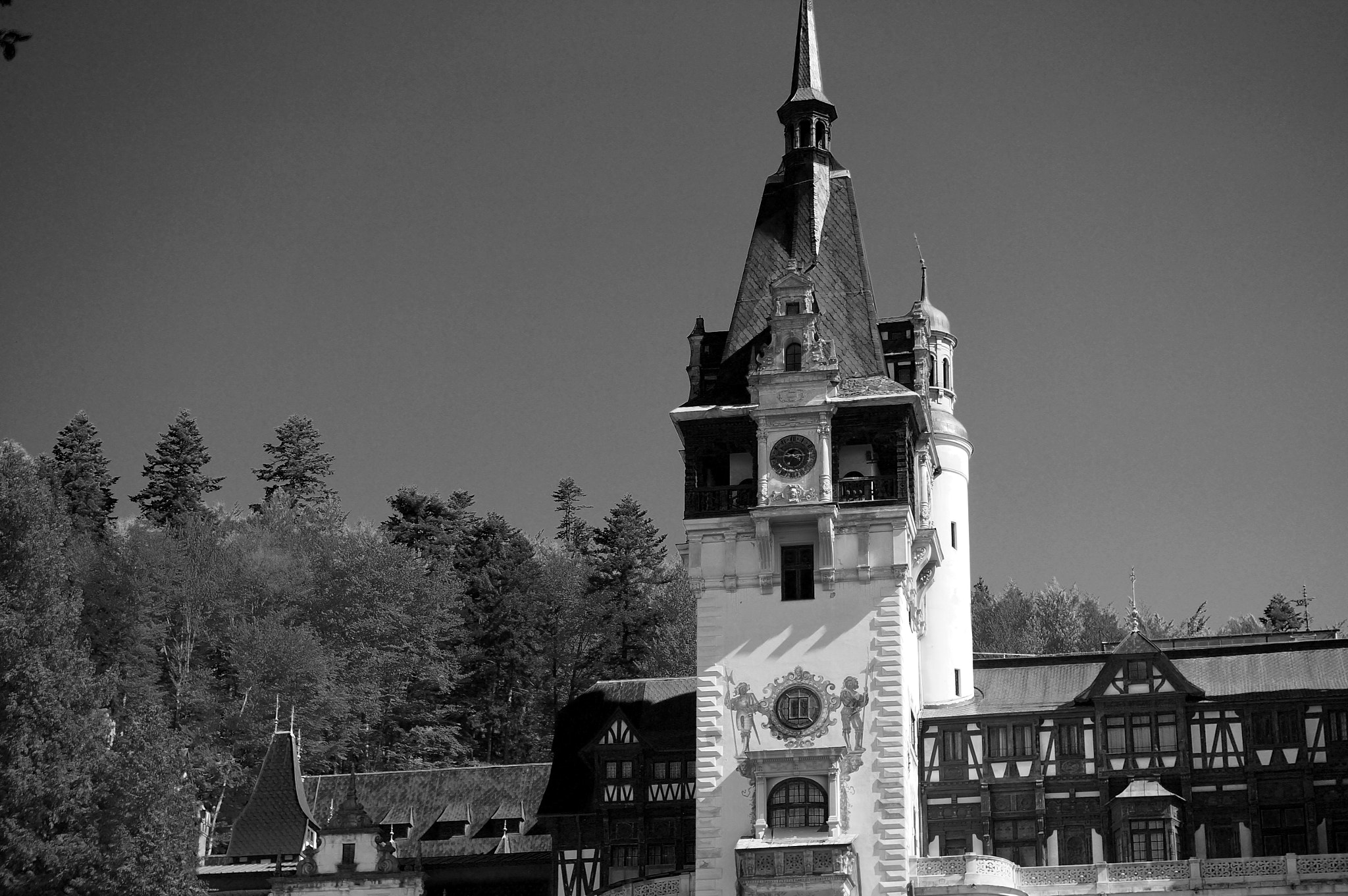 Sony SLT-A37 + Sony DT 50mm F1.8 SAM sample photo. Peles castle- romania photography