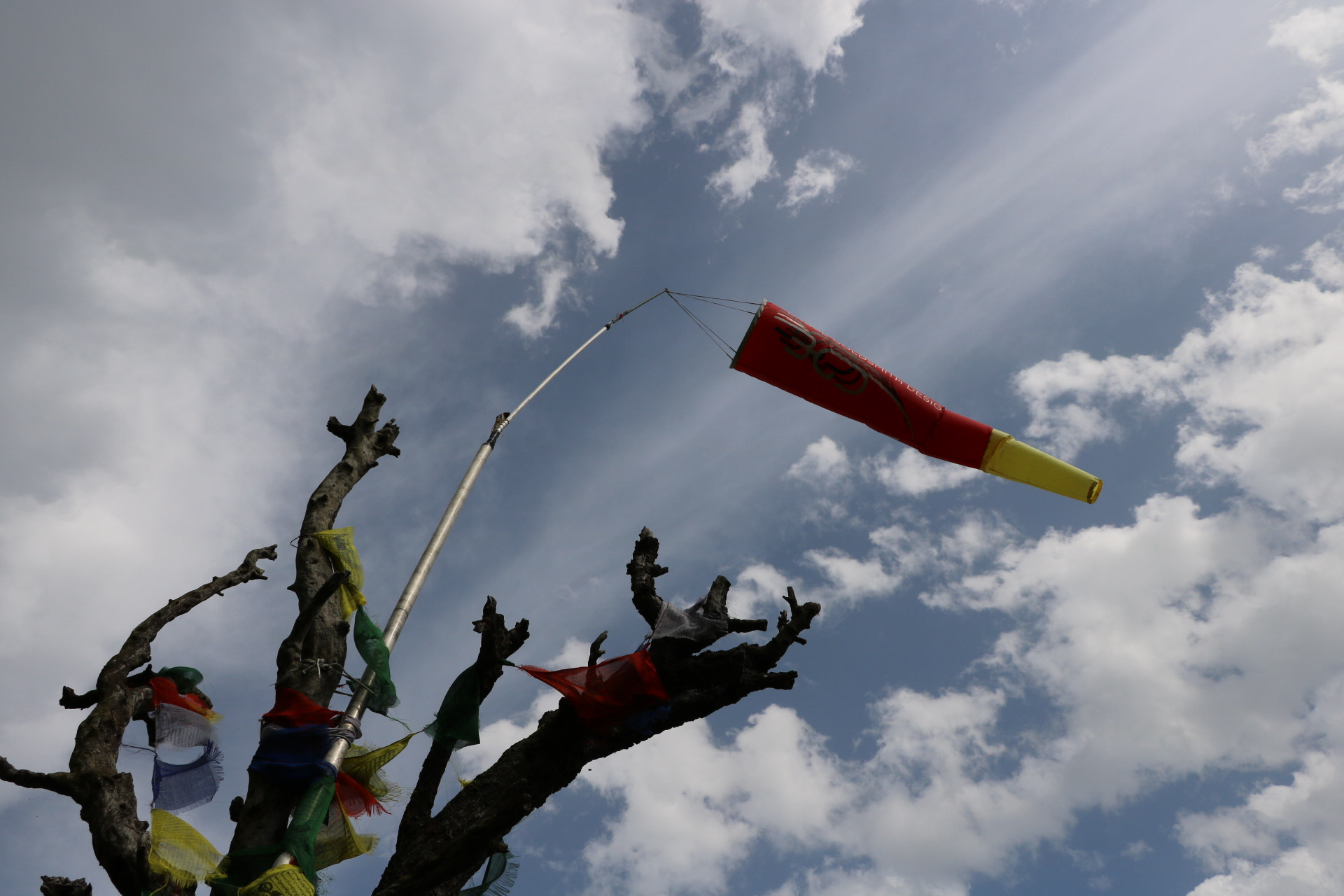 Canon EOS 750D (EOS Rebel T6i / EOS Kiss X8i) sample photo. Flag photography