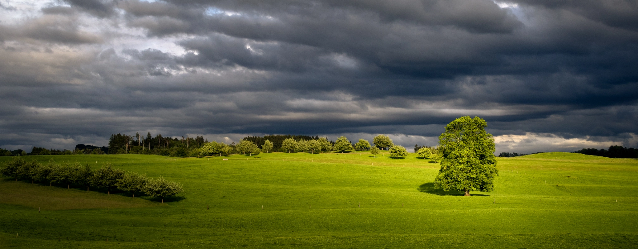 Canon EF-S 18-55mm F3.5-5.6 sample photo. Last sunbeam before the thunderstorm photography