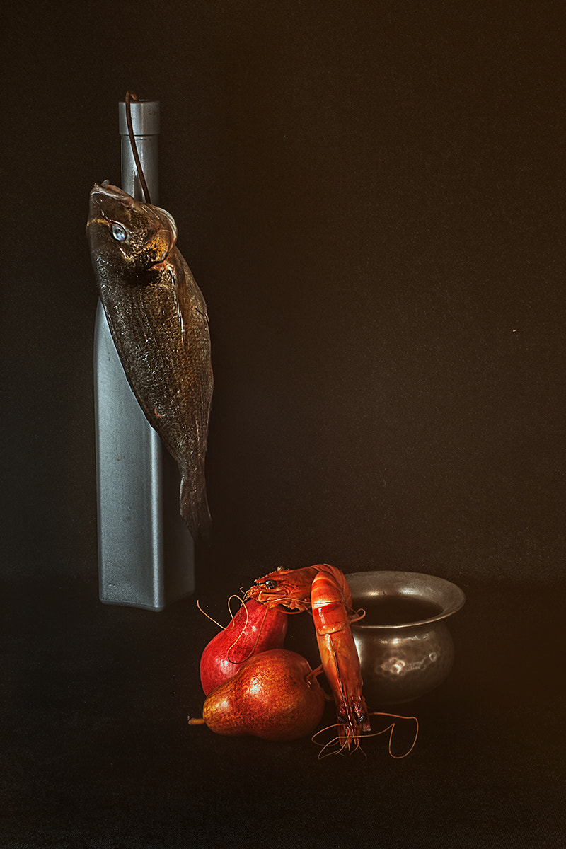 Canon EOS 40D + Canon EF 50mm F1.4 USM sample photo. Shades () photography