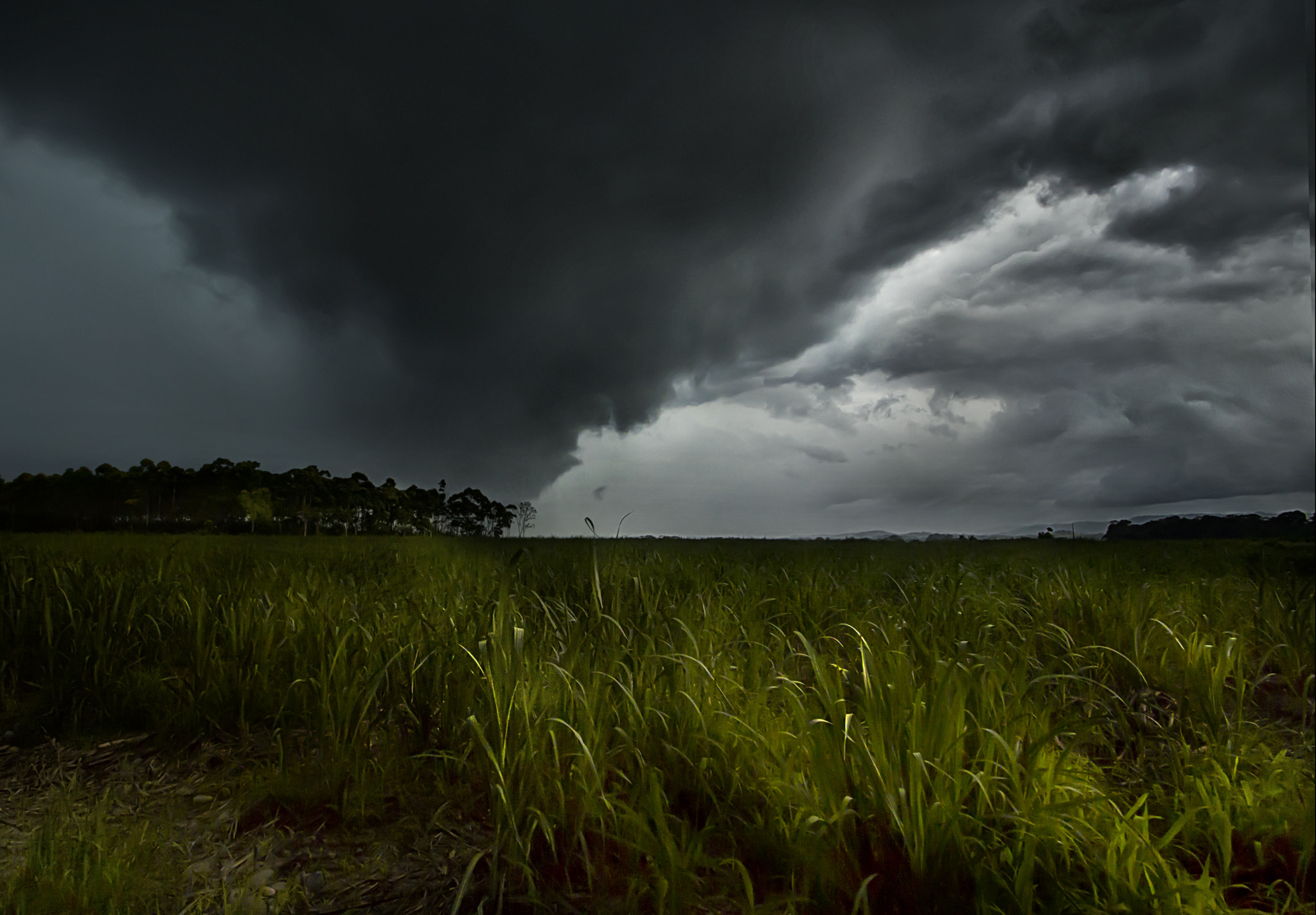 Sigma 10-20mm F3.5 EX DC HSM sample photo. Storm alerts photography