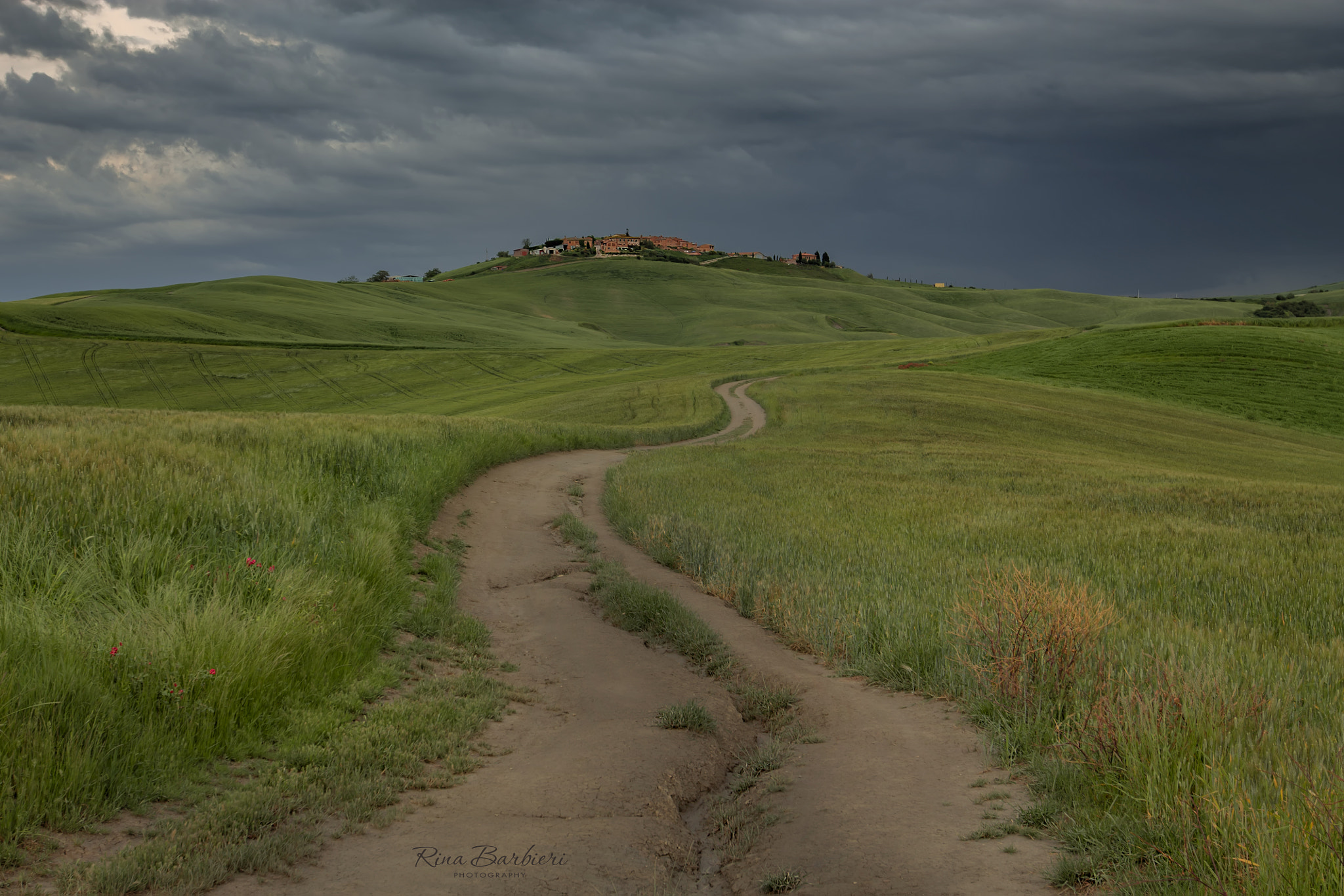 Canon EF 16-35mm F2.8L II USM sample photo. The way home photography
