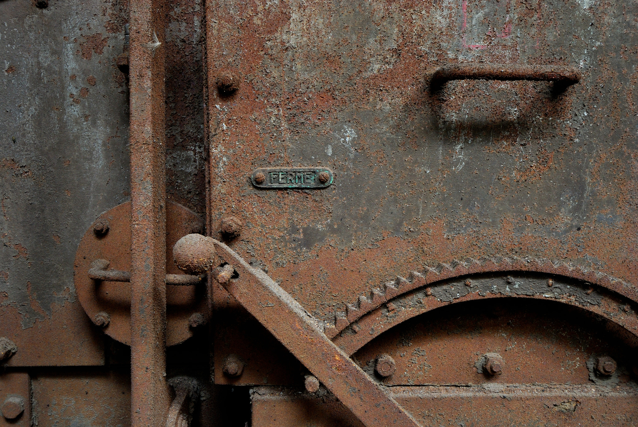 Nikon D60 sample photo. Closed photography