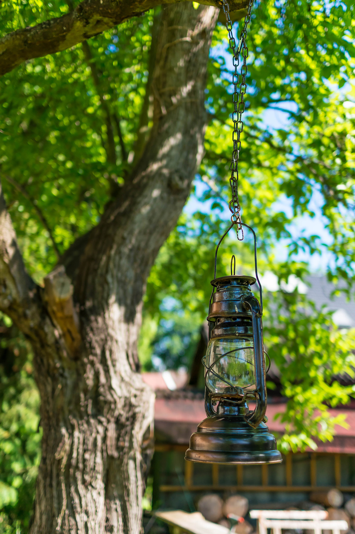 Sony Alpha NEX-6 + Sony Sonnar T* E 24mm F1.8 ZA sample photo. Lamp and tree photography