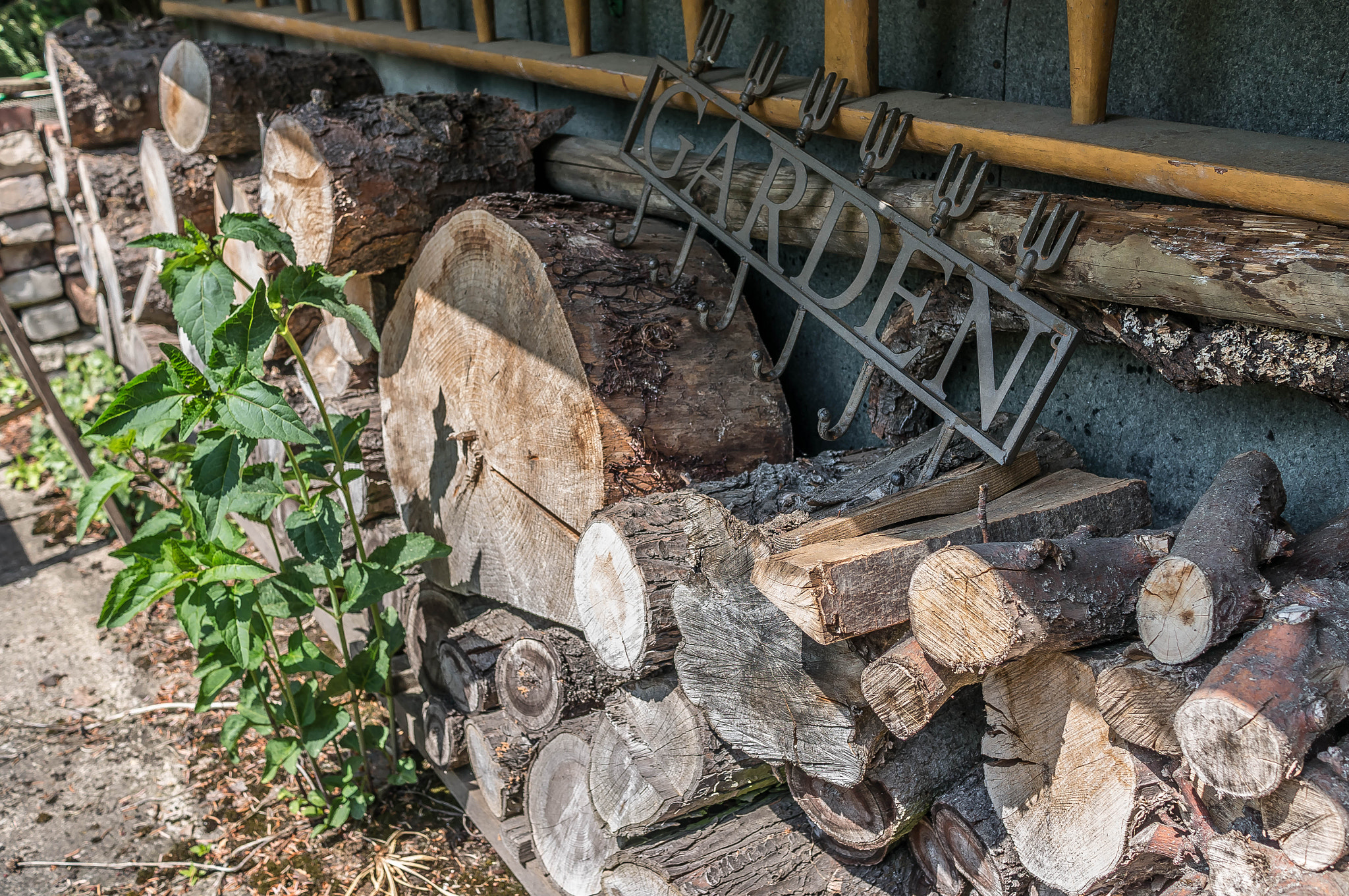 Sony Alpha NEX-6 + Sony Sonnar T* E 24mm F1.8 ZA sample photo. Garden photography