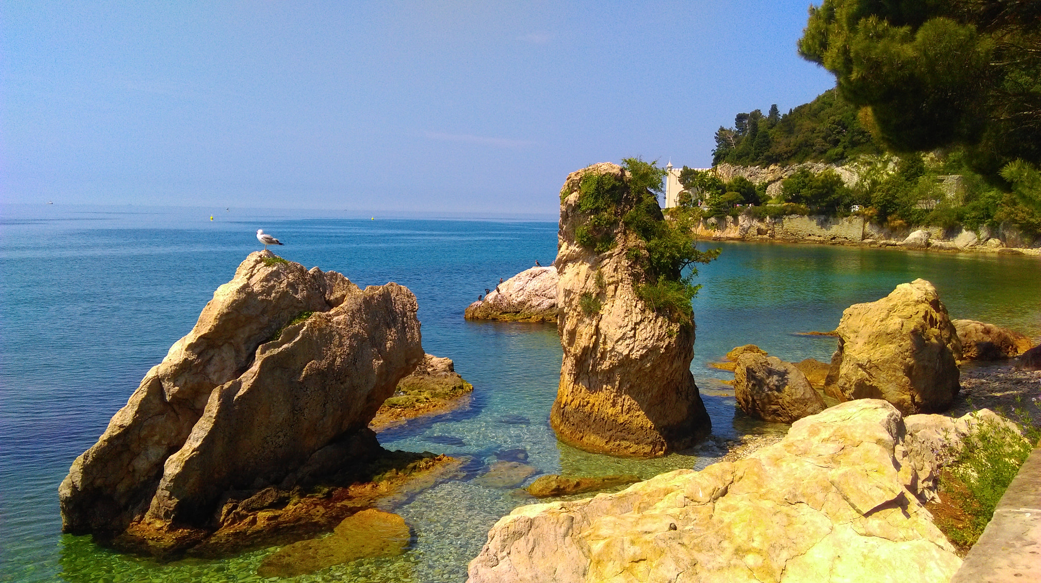 HTC DESIRE 820 sample photo. Miramare photography