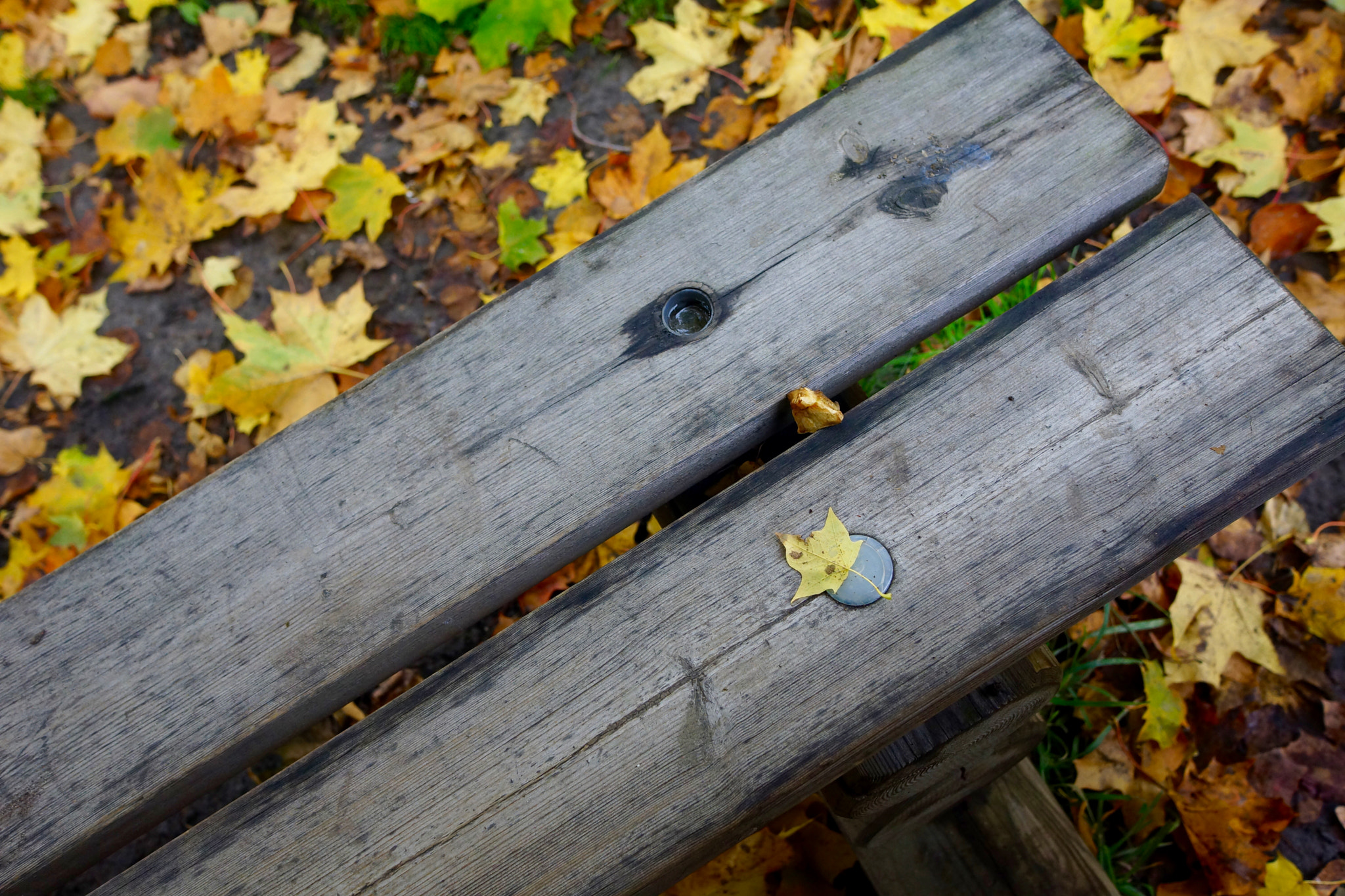 Sony Alpha NEX-7 + Sony Sonnar T* E 24mm F1.8 ZA sample photo. Memory of stockholm photography