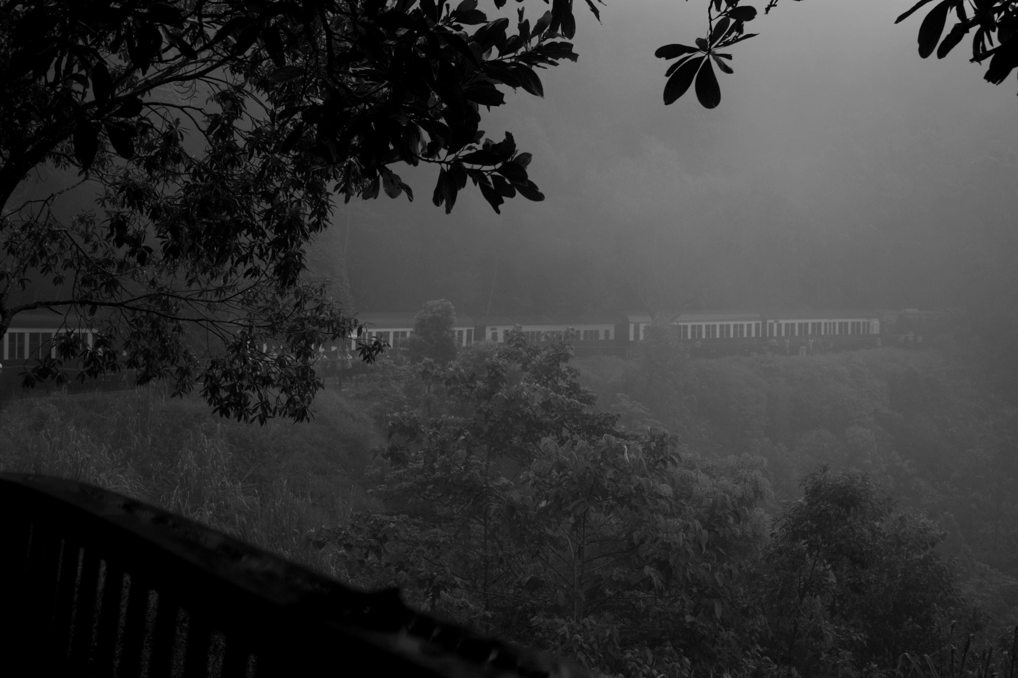 Canon EOS 450D (EOS Rebel XSi / EOS Kiss X2) + Canon EF-S 18-55mm F3.5-5.6 IS sample photo. Kuranda scenic railway. photography