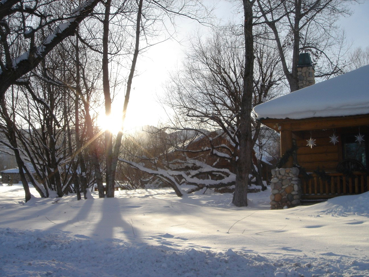 Sony DSC-T1 sample photo. Snow photography