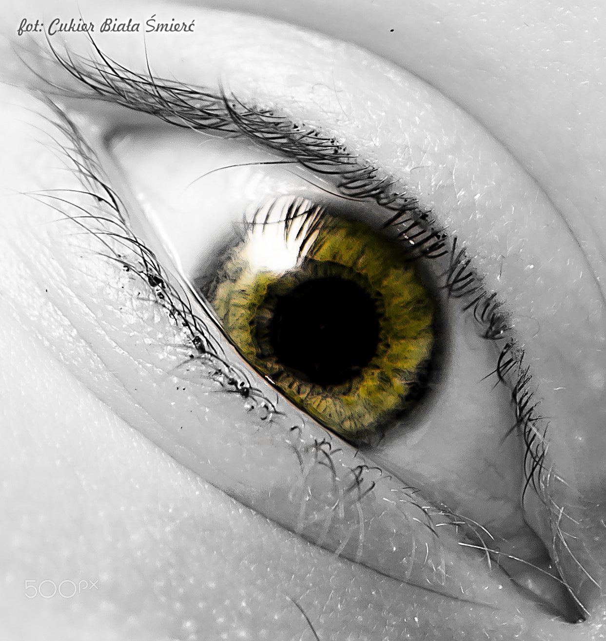 Sony 75-300mm F4.5-5.6 sample photo. Eye photography