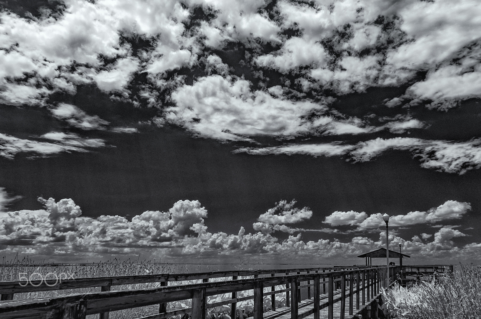 Nikon D300S sample photo. Dock and clouds photography