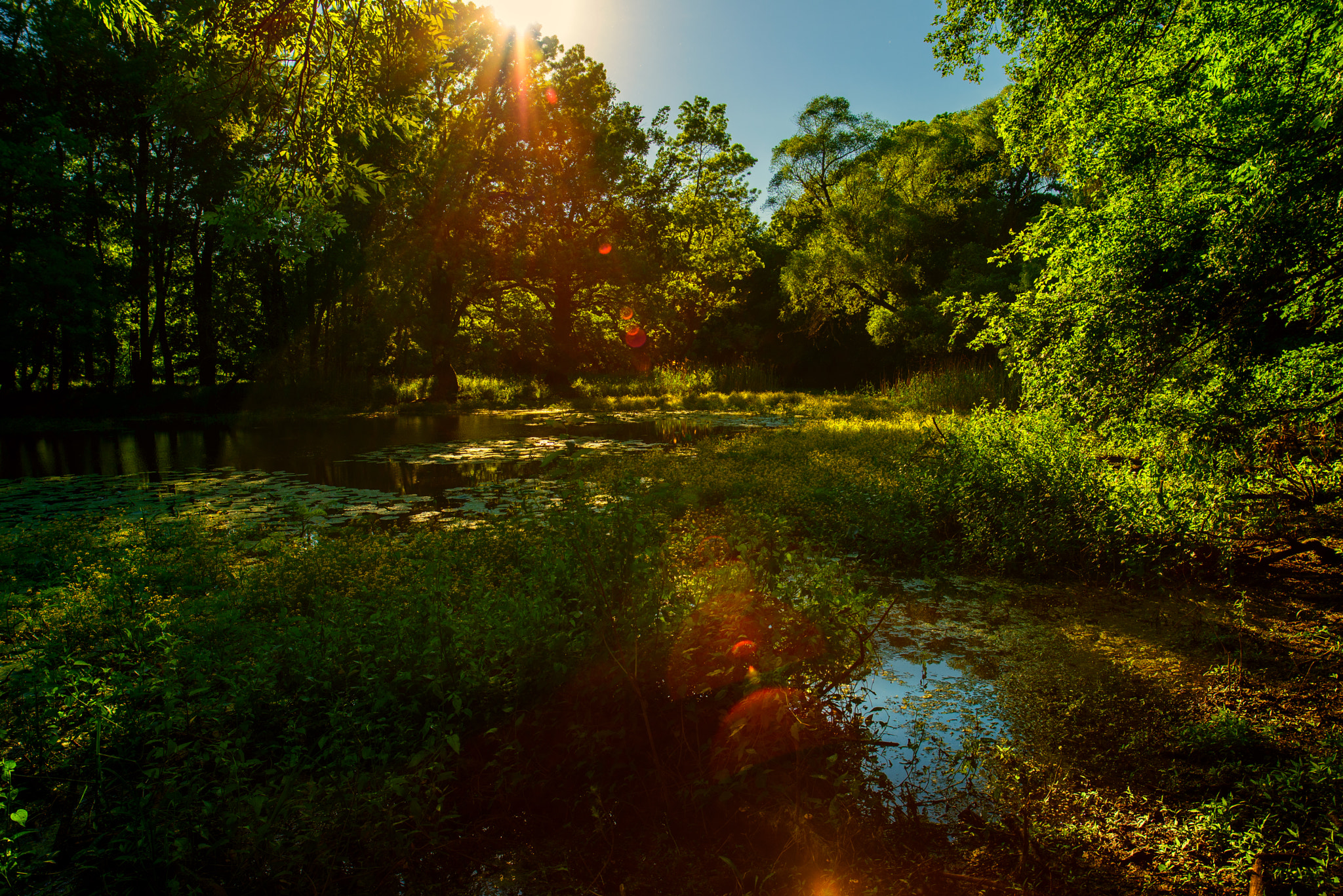 ZEISS Milvus 21mm F2.8 sample photo. The last sunbeam photography