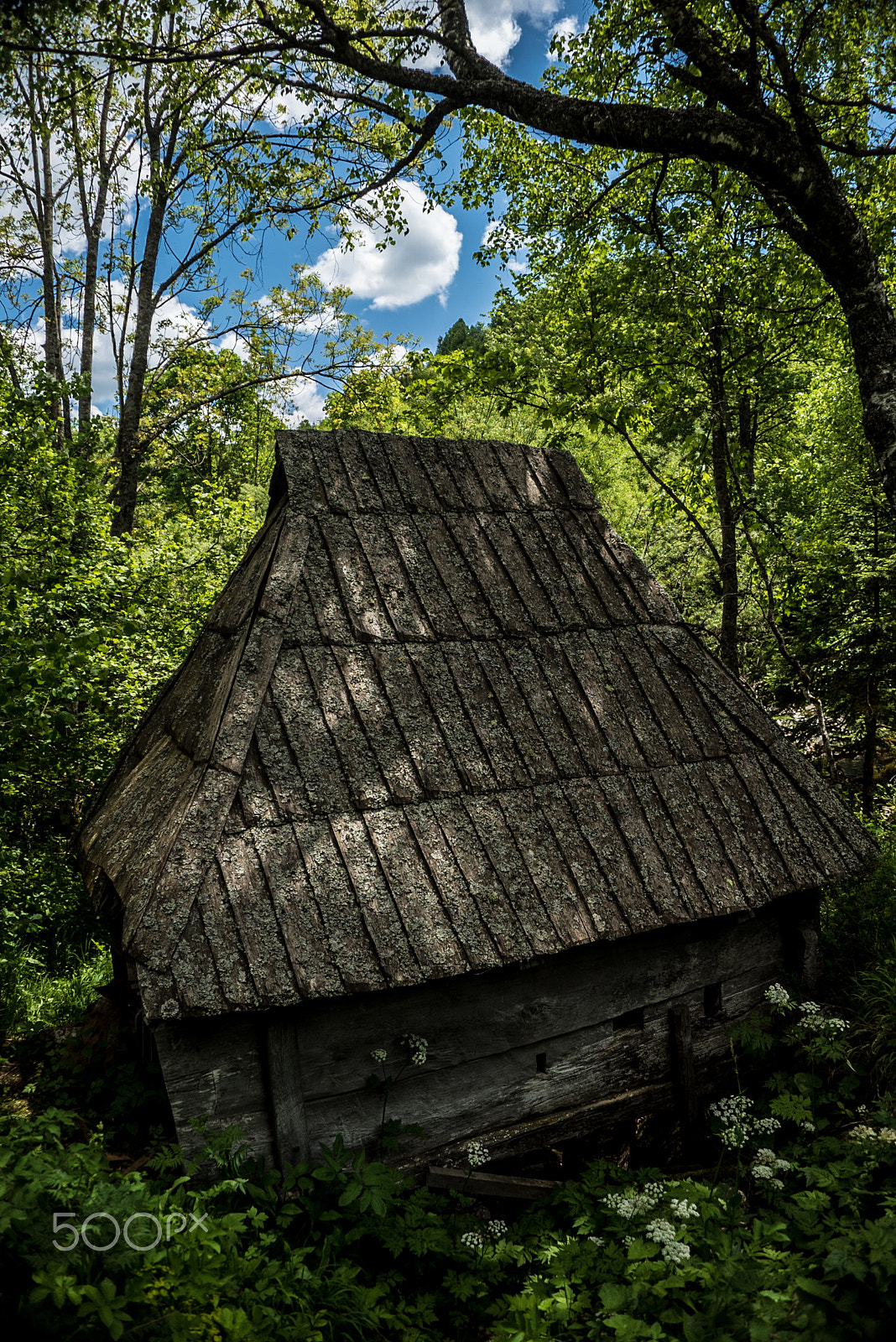 Sony a7S sample photo. _dsc9058.jpg photography
