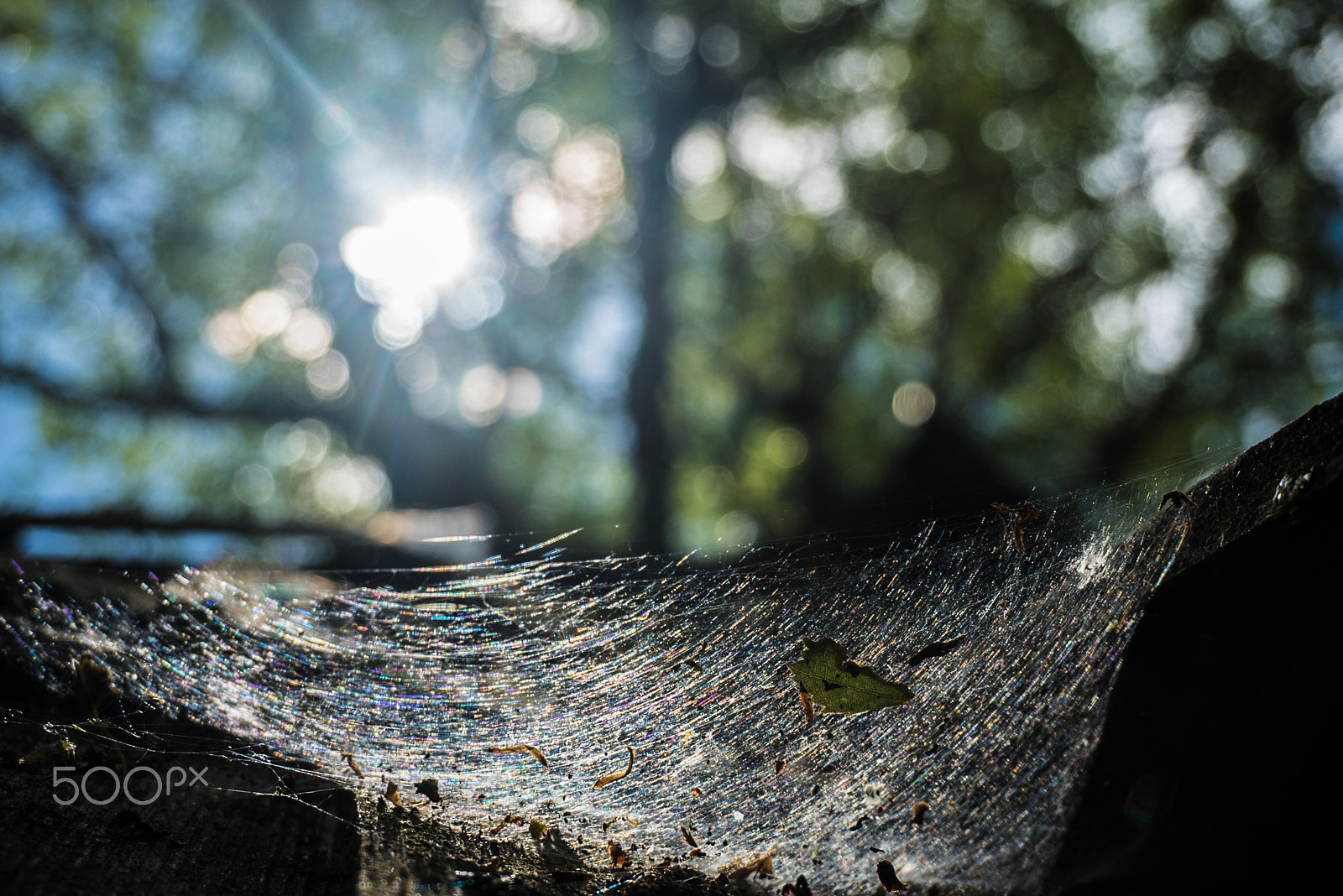 Sony a7S sample photo. _dsc9057.jpg photography