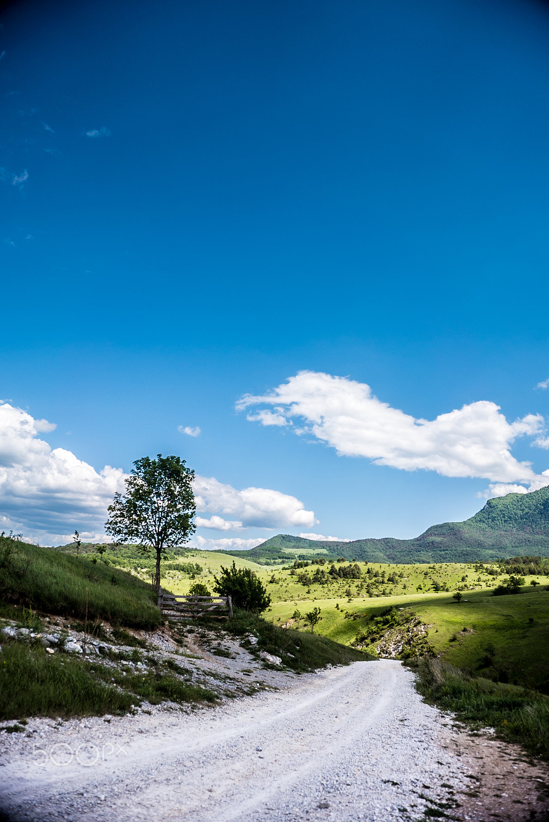 Sony a7S sample photo. _dsc9095.jpg photography